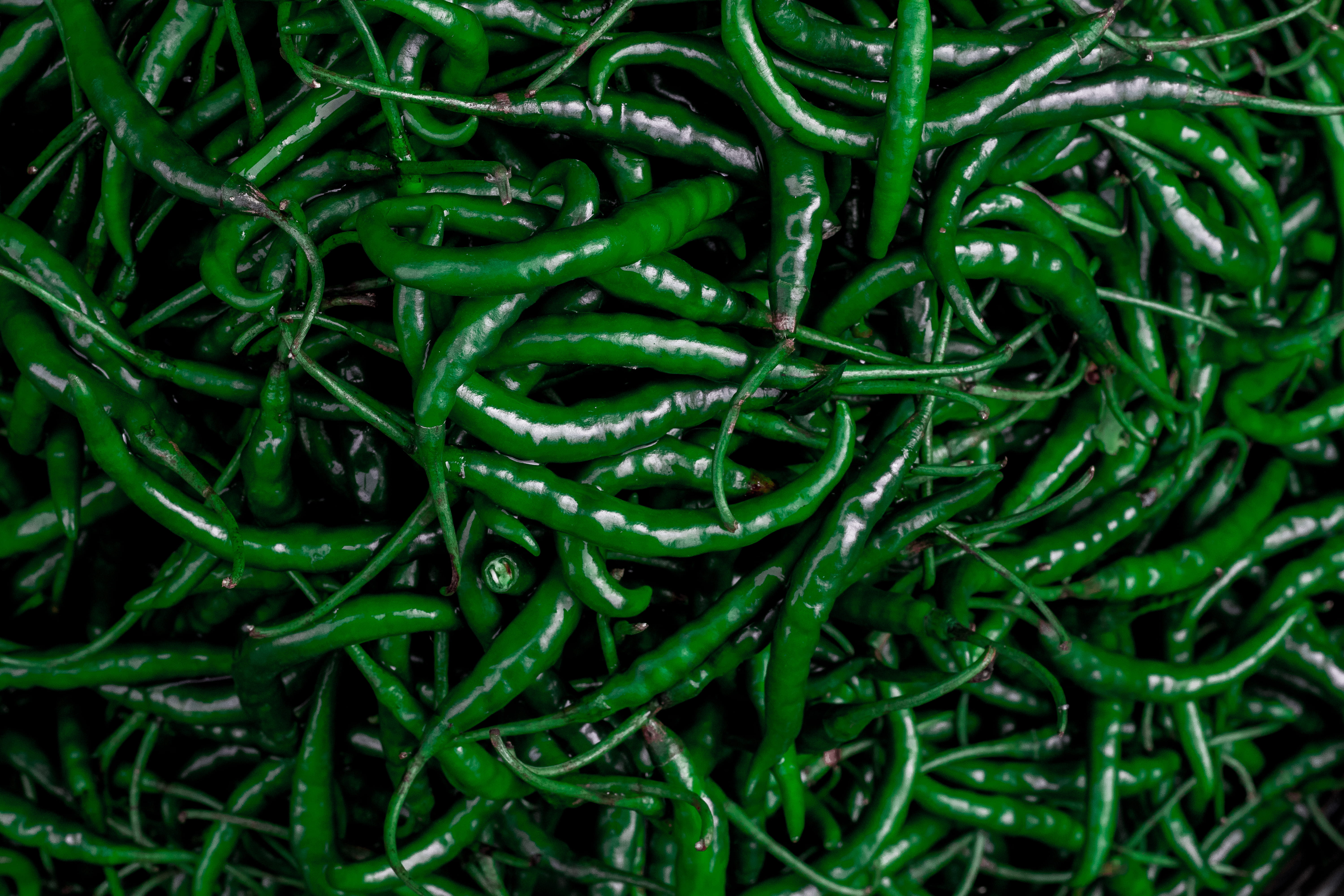chillies, pepper, no people, green color, spice, food and drink, close-up, market, filled, full frame, india, freshness, large group of objects, HD Wallpaper