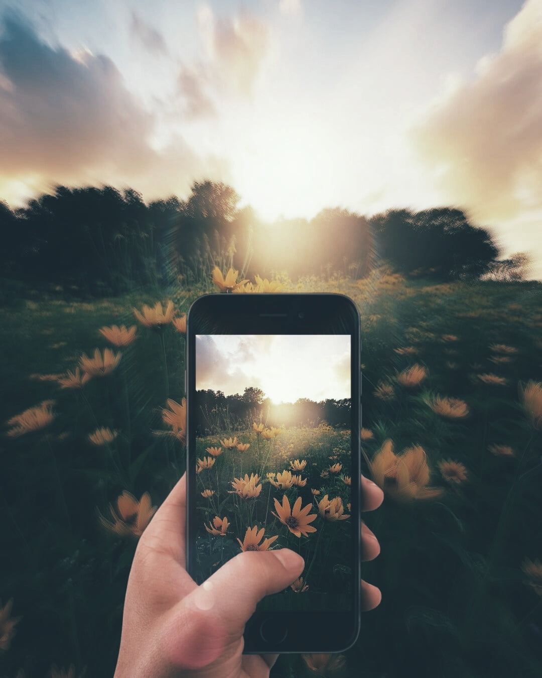 outdoors, plant, landscape, edit, cloud - sky, smart phone, human body part, technology, faded, photographing, 720P, human hand, hand, wireless technology, Phone HD Wallpaper
