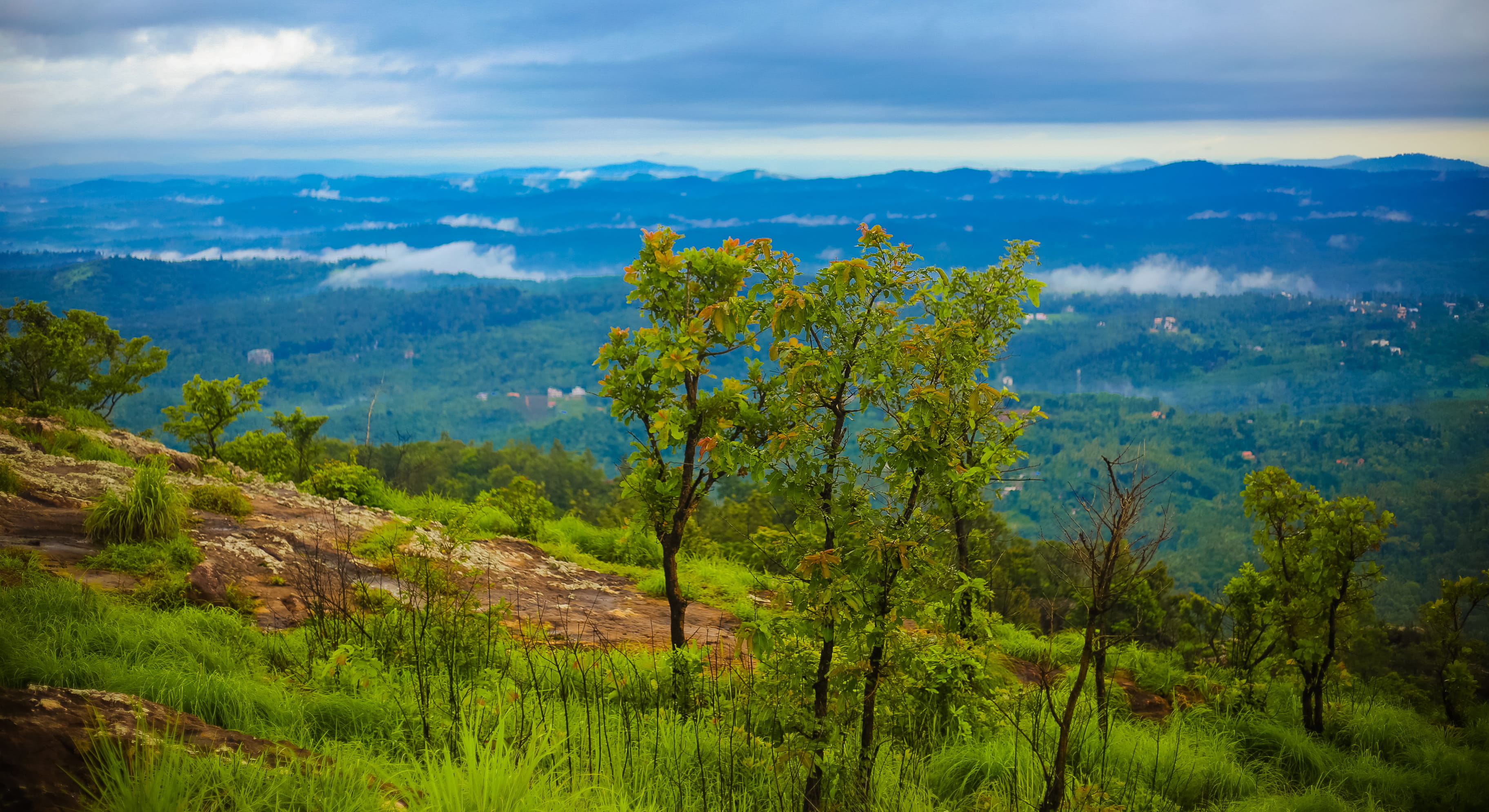 non-urban scene, land, sky, photography, beauty in nature, outdoors, tranquil scene, forest, 2K, plant, trekking, wayanad, green color, india, mountain, HD Wallpaper