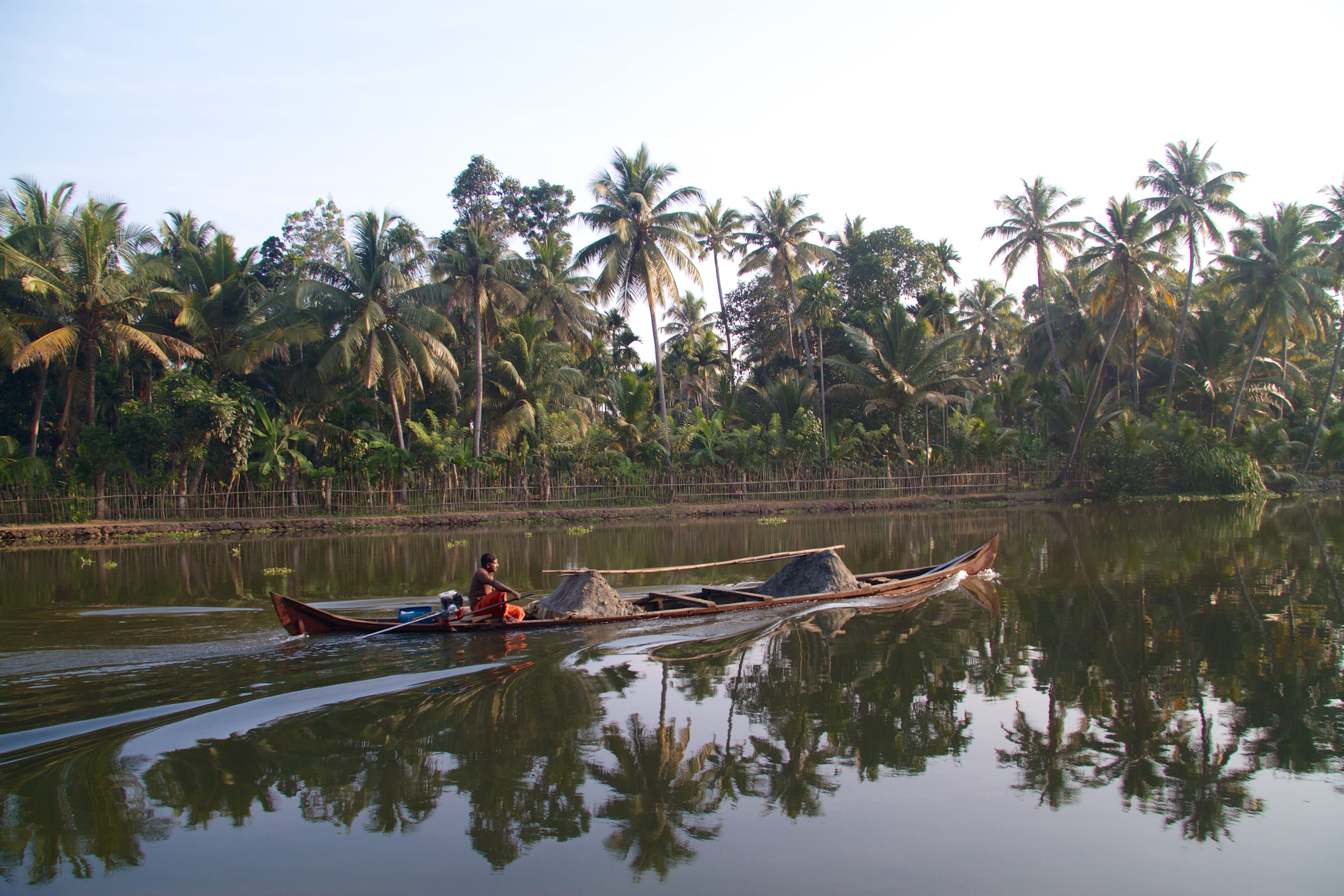 plant, watercraft, nautical vessel, lifestyles, alappuzha, oar, outdoors, real people, leisure activity, coconut palm tree, scenics - nature, transportation, HD Wallpaper