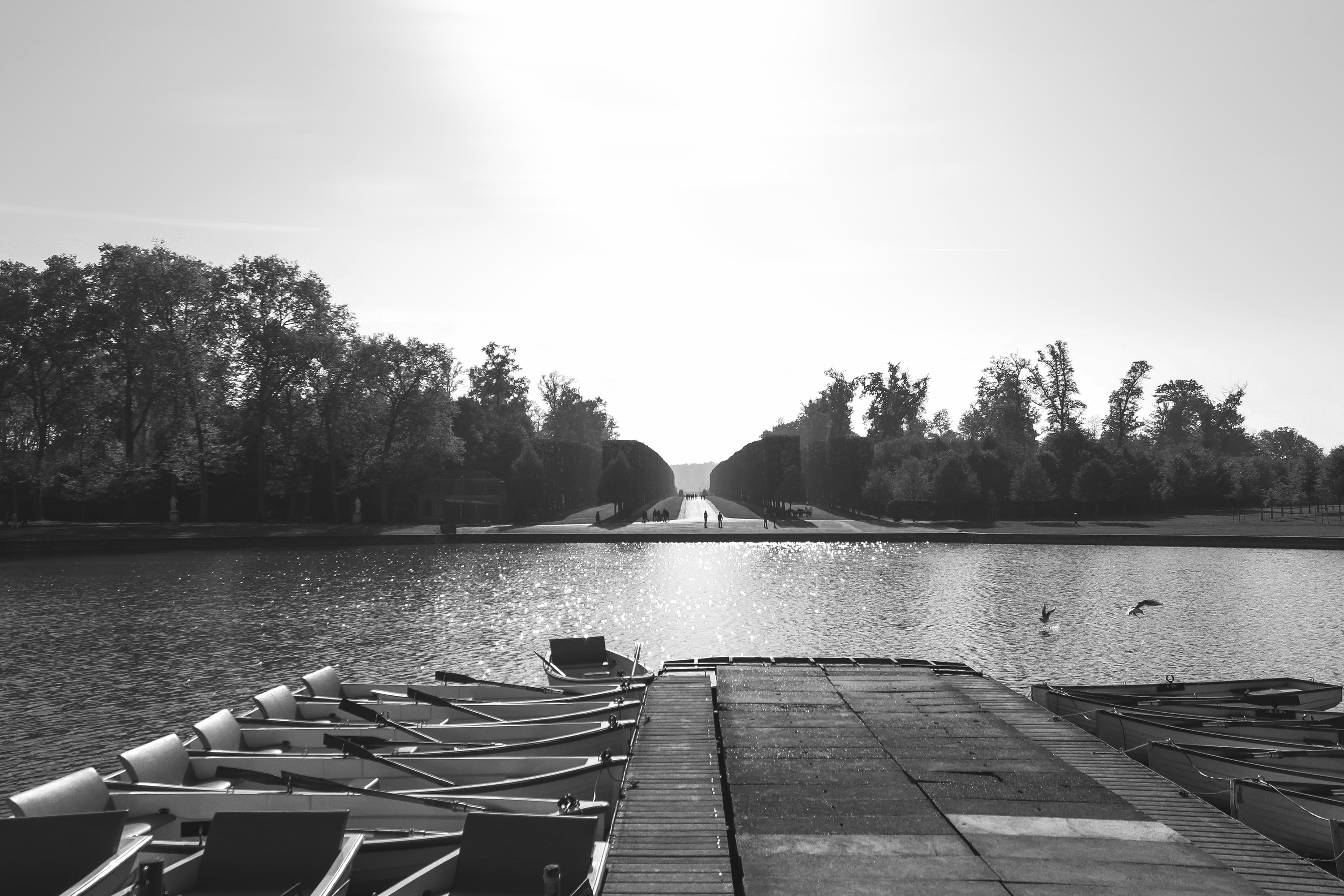 black-and-white, nautical vessel, water, nature, placid, fir trees, tranquil scene, outdoors, boat, tranquility, conifers, transportation, river, dock, HD Wallpaper