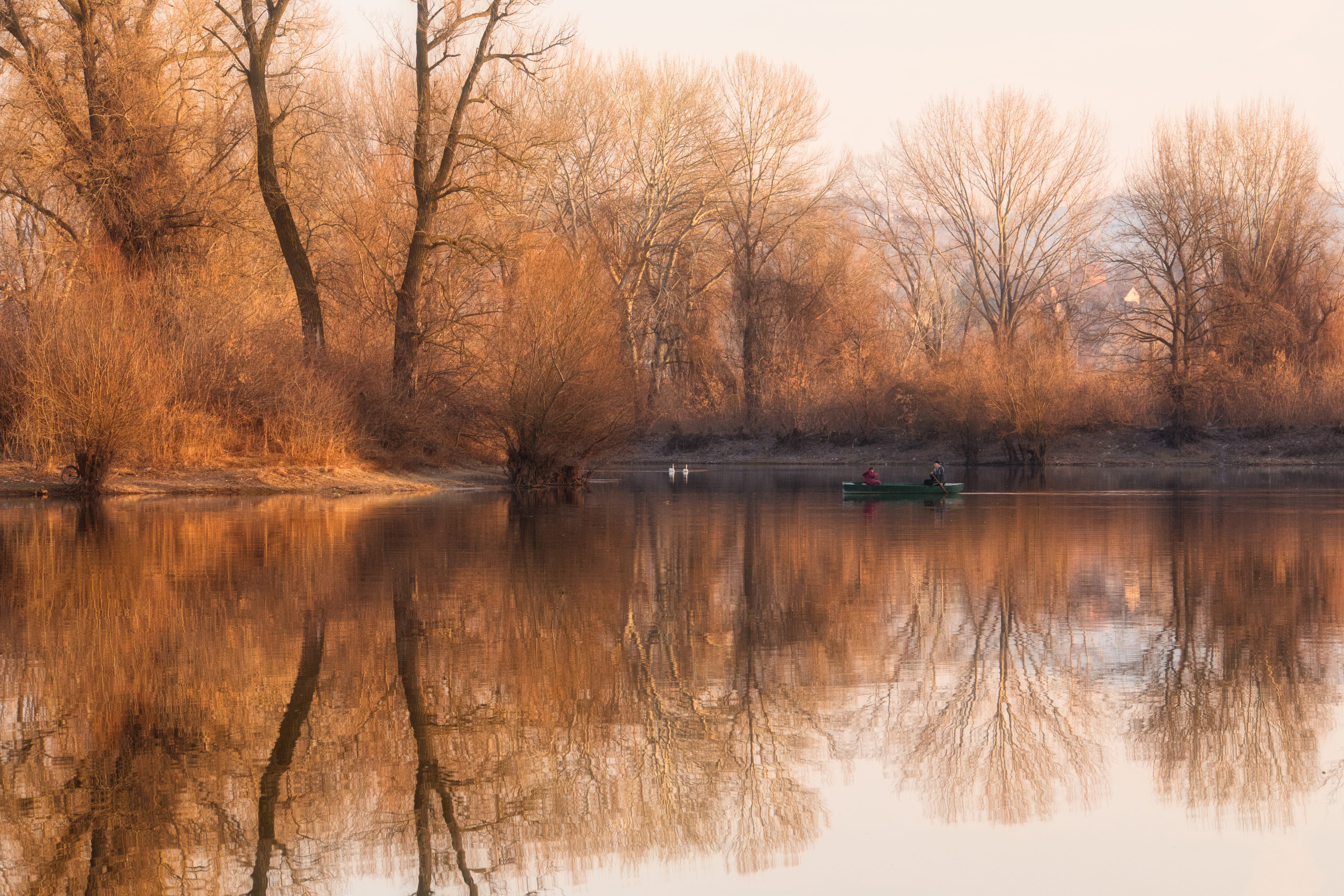 lake, nature, plant, beauty in nature, human, no people, scenery, landscape, wilderness, outdoors, idyllic, grass, nautical vessel, flood, tranquil scene, HD Wallpaper