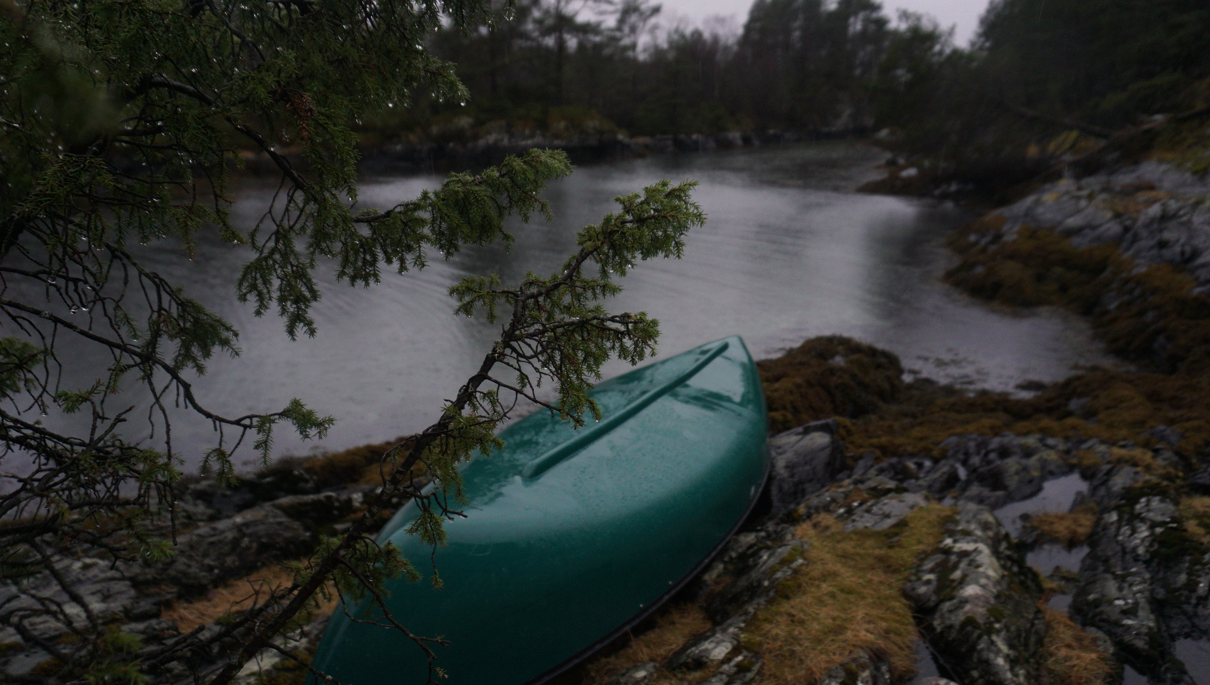 pollution, grass, recreational boat, outdoor, plant, body, tranquil scene, rock, mode of transportation, no people, trees, day, moored, tree, boat, beside, HD Wallpaper