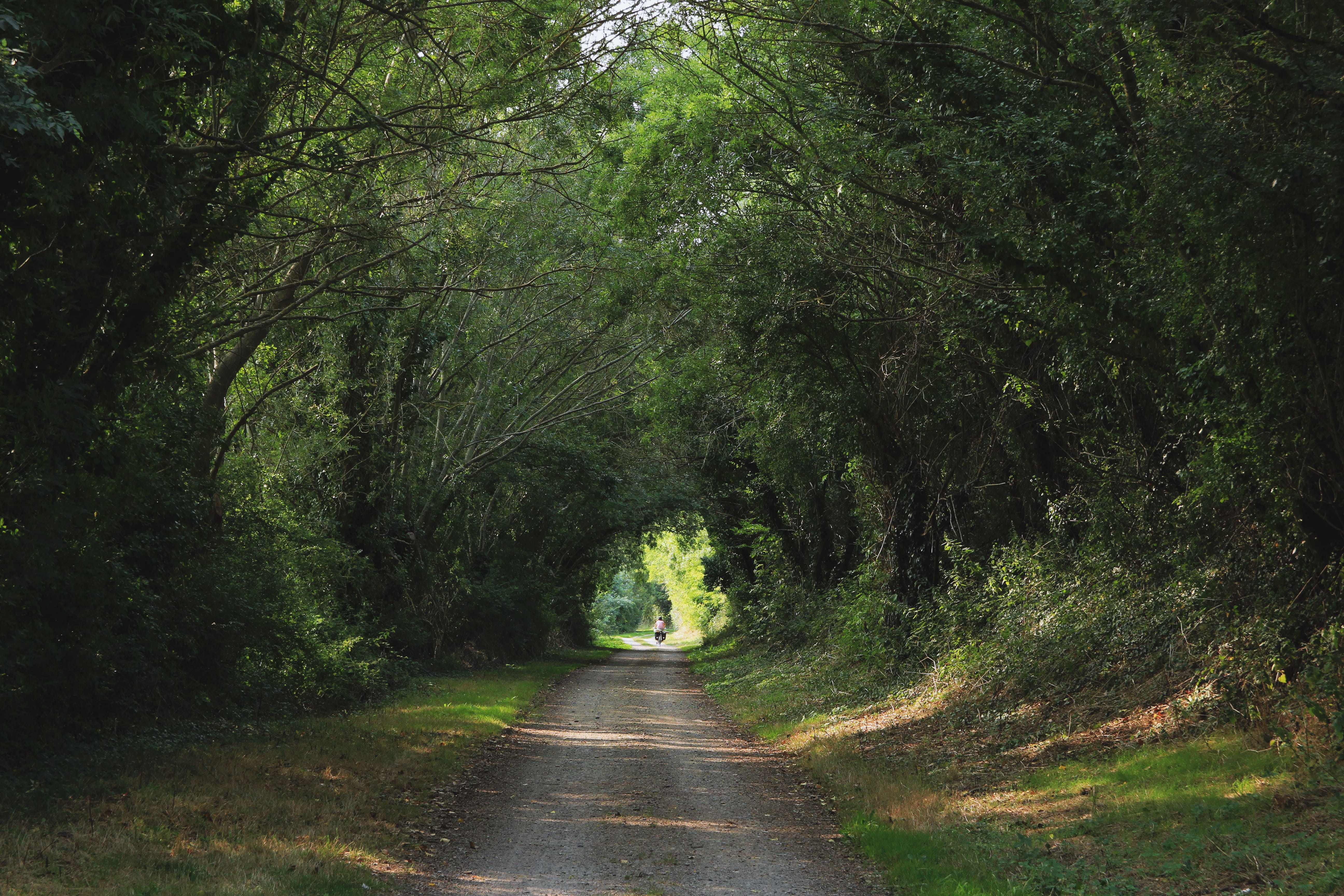landscape, land, light, asphalt, bike, vendée, the way forward, transportation, person, plant, trail, path, diminishing perspective, dirt road, tranquil scene, HD Wallpaper