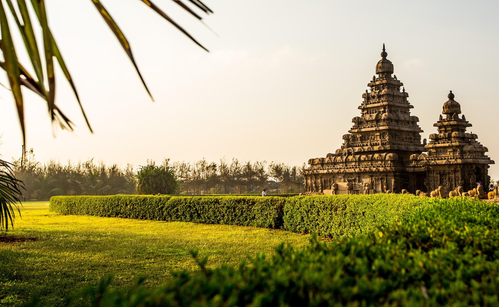belief, no people, plants, garden, place of worship, outdoors, 1080P, nature, spirituality, travel destinations, religion, trees, plant, ancient civilization, HD Wallpaper