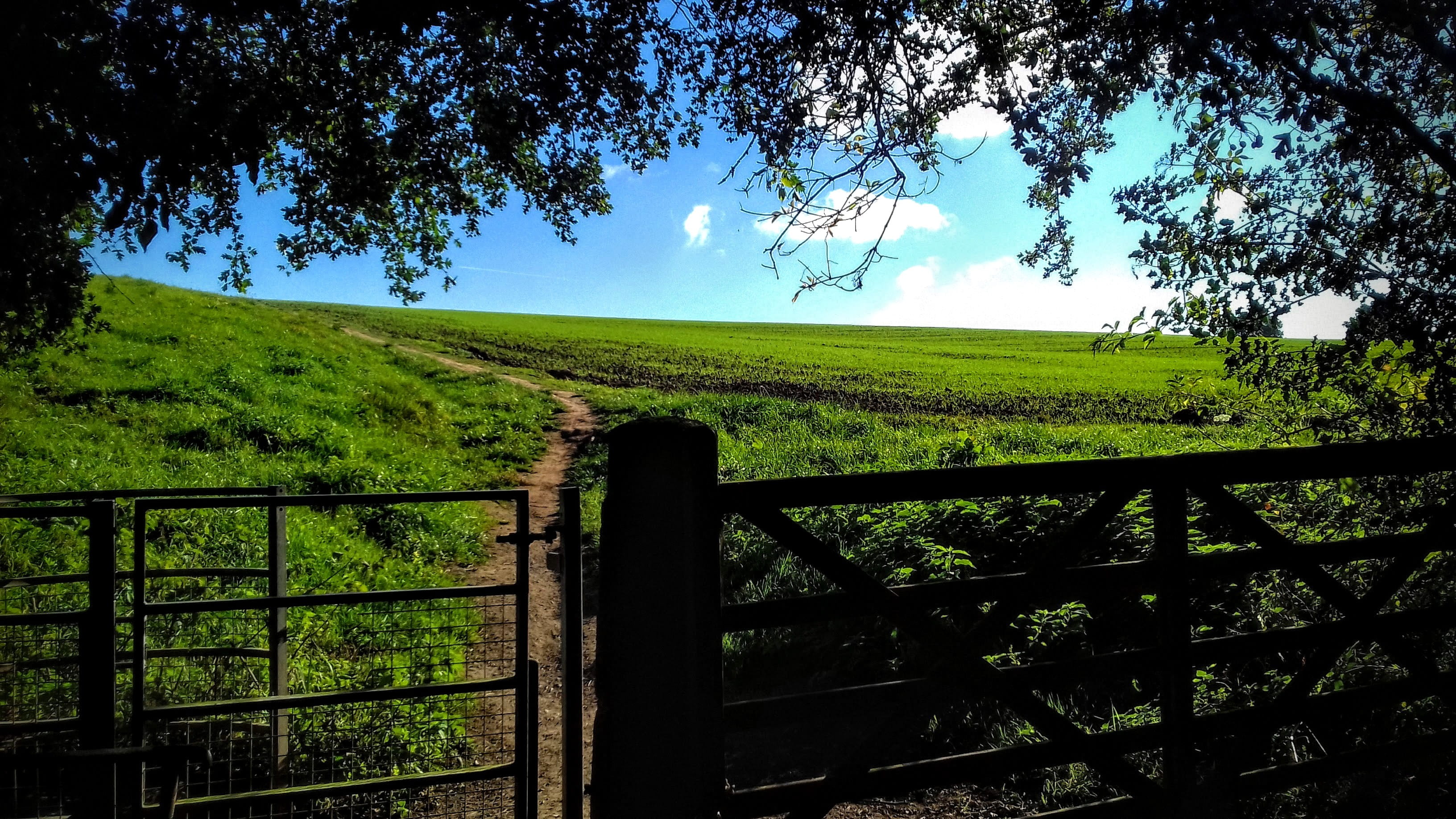 growth, blue sky, land, sky, environment, no people, united kingdom, gree, tranquil scene, davenham, field, outdoors, fence, landscape, green color, nature, HD Wallpaper