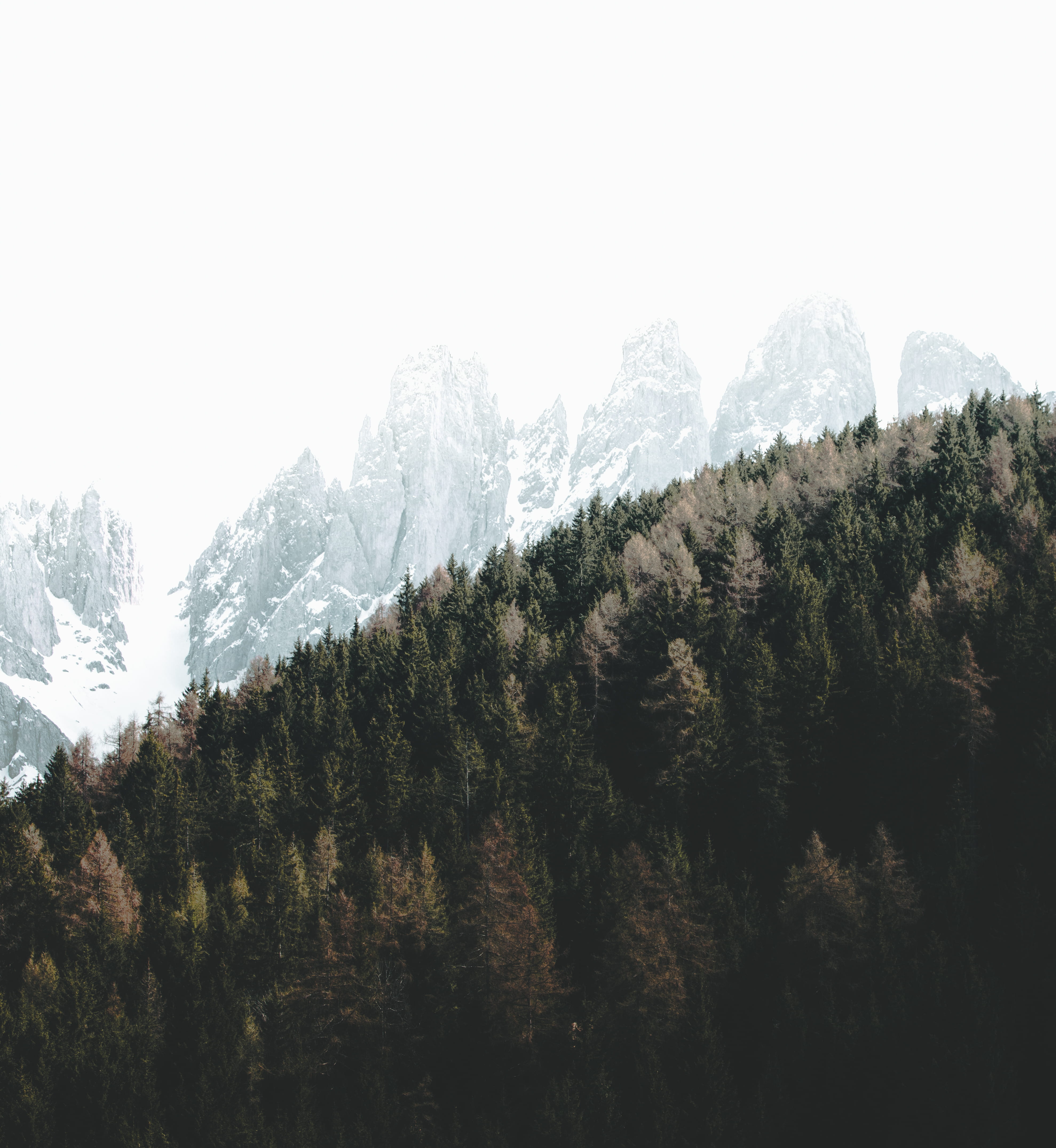 leafe, sky, winter, gree, 4K, green, hill, environment, forest, peak, beauty in nature, mountain, tree, covered, trees, pine, italy, photography, landscape, Phone HD Wallpaper