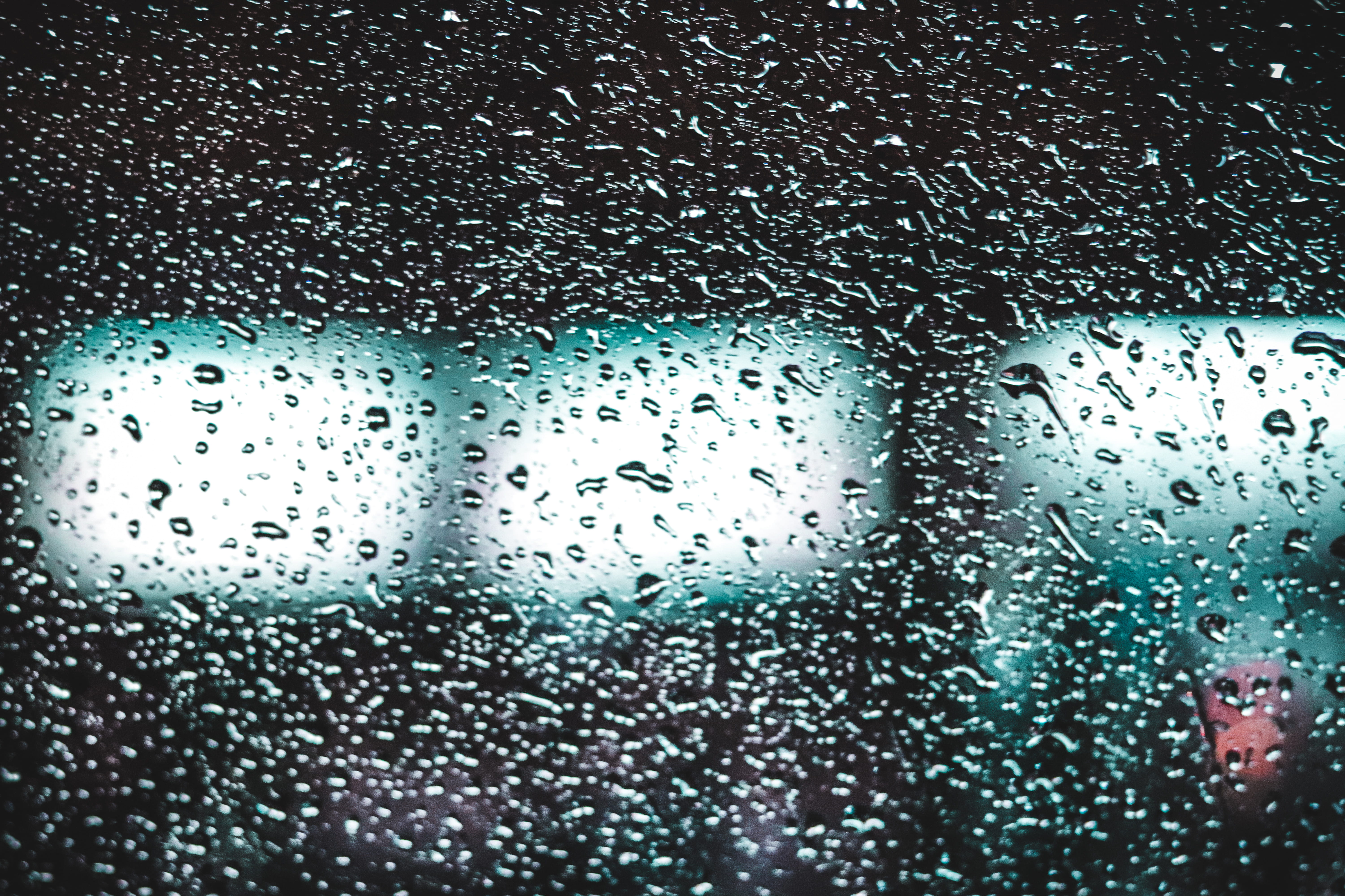 sony, purity, gree, full frame, close-up, rainy season, monsoon, photography, pattern, vehicle interior, experimential, fish, raindrop, canon, indoors, HD Wallpaper