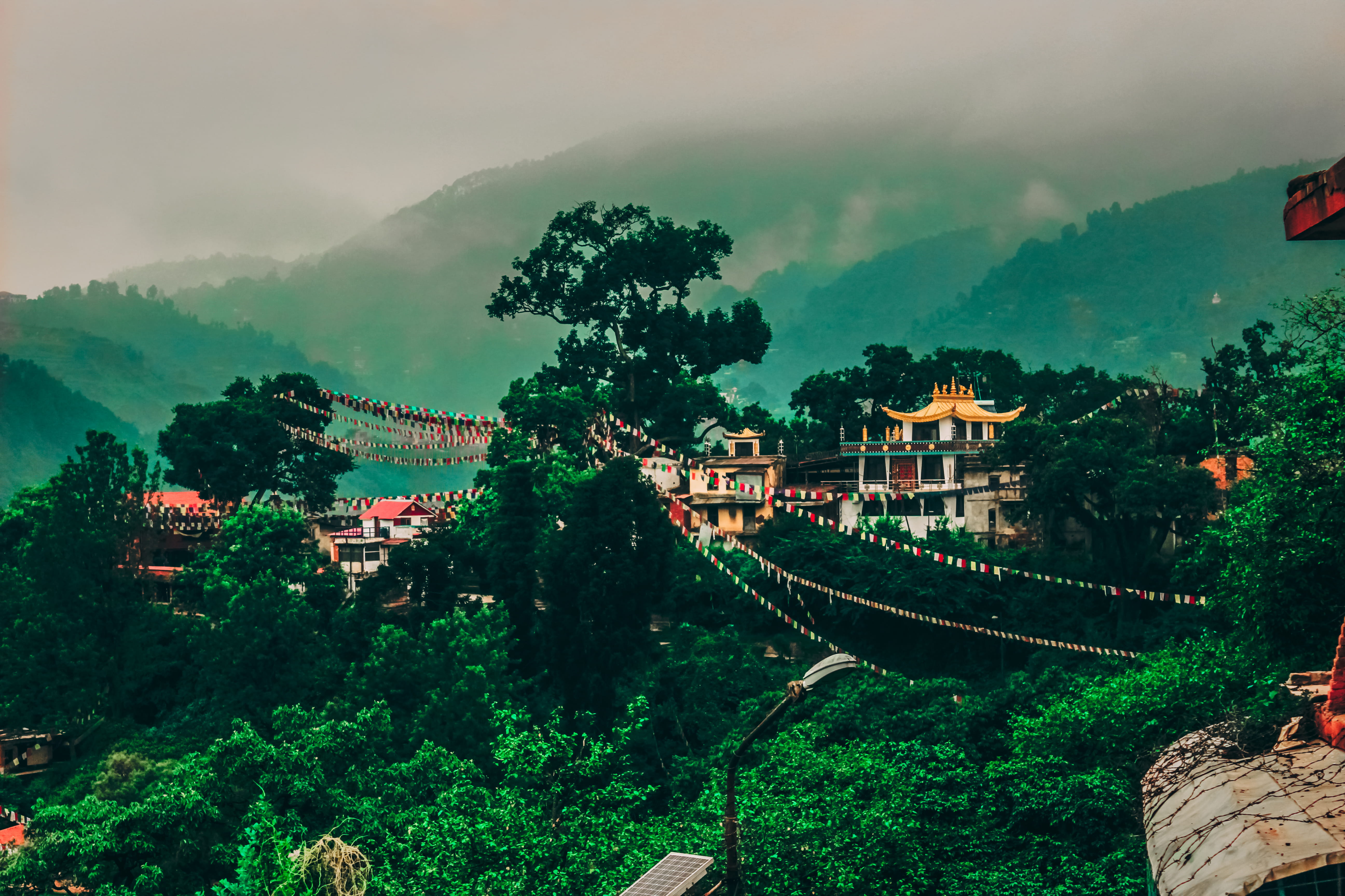 buddha, architecture, tree, nature, religion, nepal, temple, sky, no people, cloud - sky, 5K, green, trees, green color, view, forest, scenics - nature, HD Wallpaper