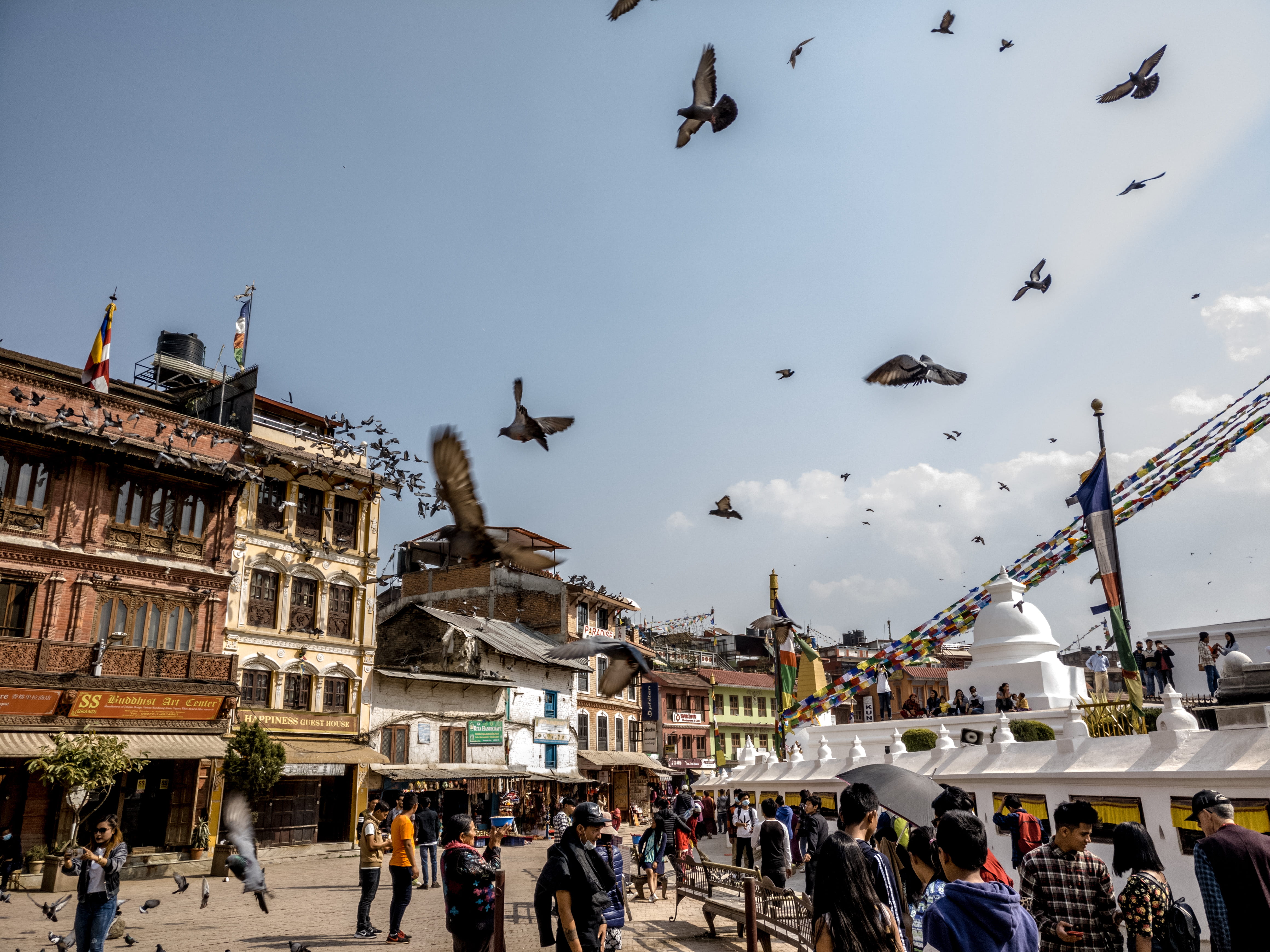 bird, real people, nature, group of people, building exterior, architecture, 4K, lifestyles, animals in the wild, flock of birds, animal wildlife, flying, HD Wallpaper