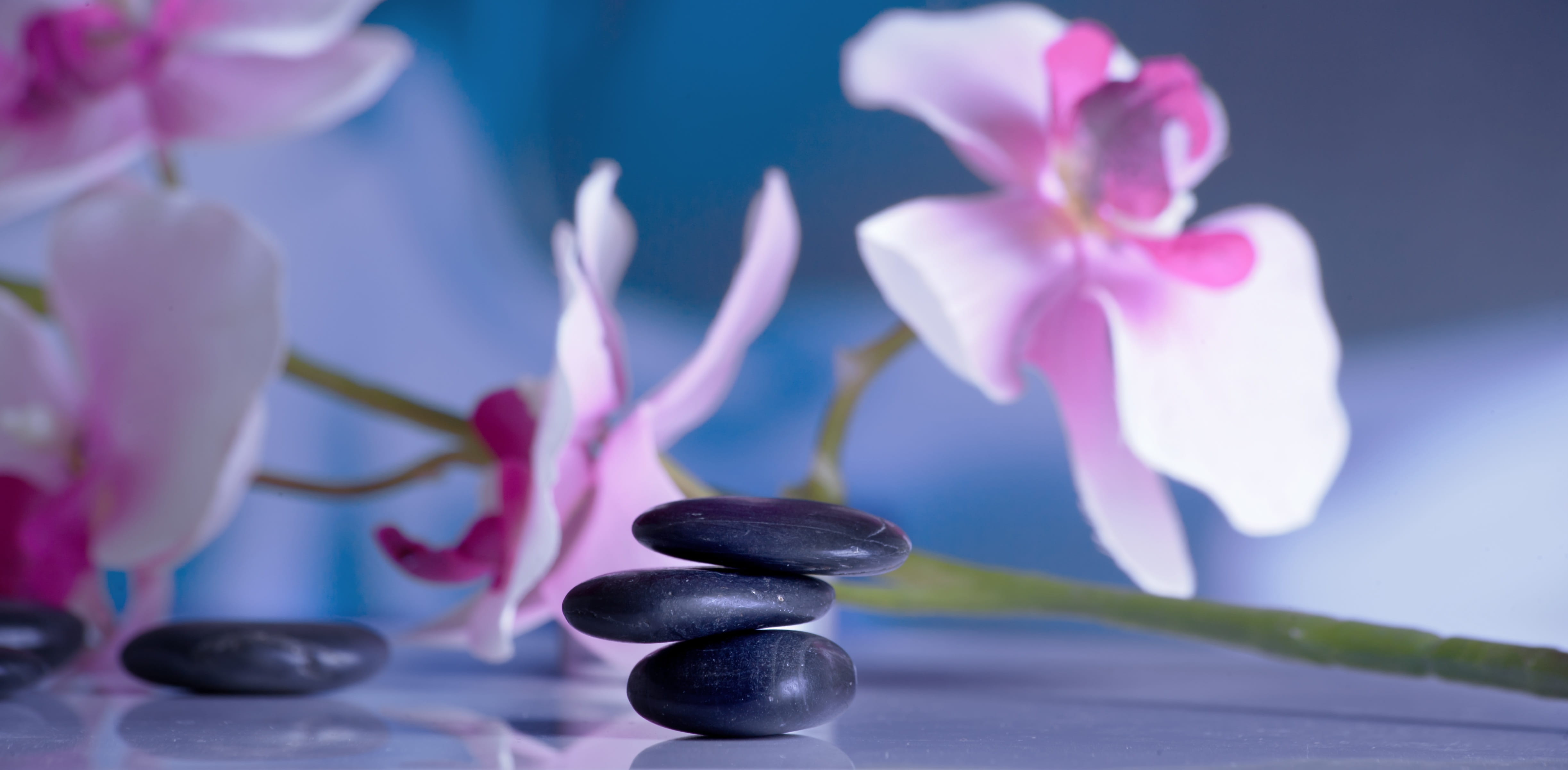 inflorescence, massage, relaxation, pink, wellness, focus on foreground, recovery, mirroring, pebble, balance, physiotherapy, fragility, softness, rest, HD Wallpaper