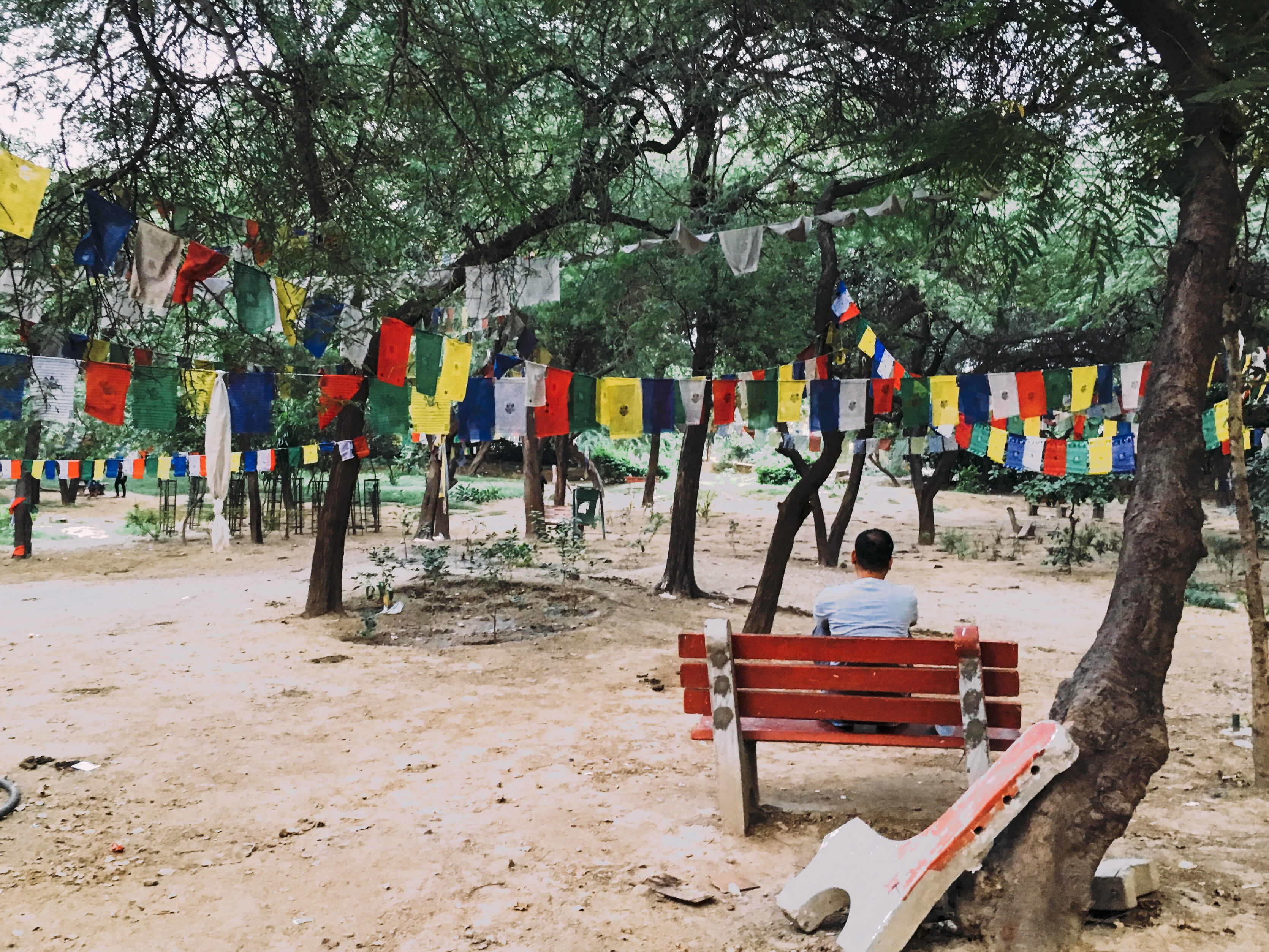 tree trunk, outdoors, delhi, red, trunk, person, majnu ka tila, sitting, lone, land, green, park, multi colored, flag, play area, people, 2K, lifestyles, HD Wallpaper