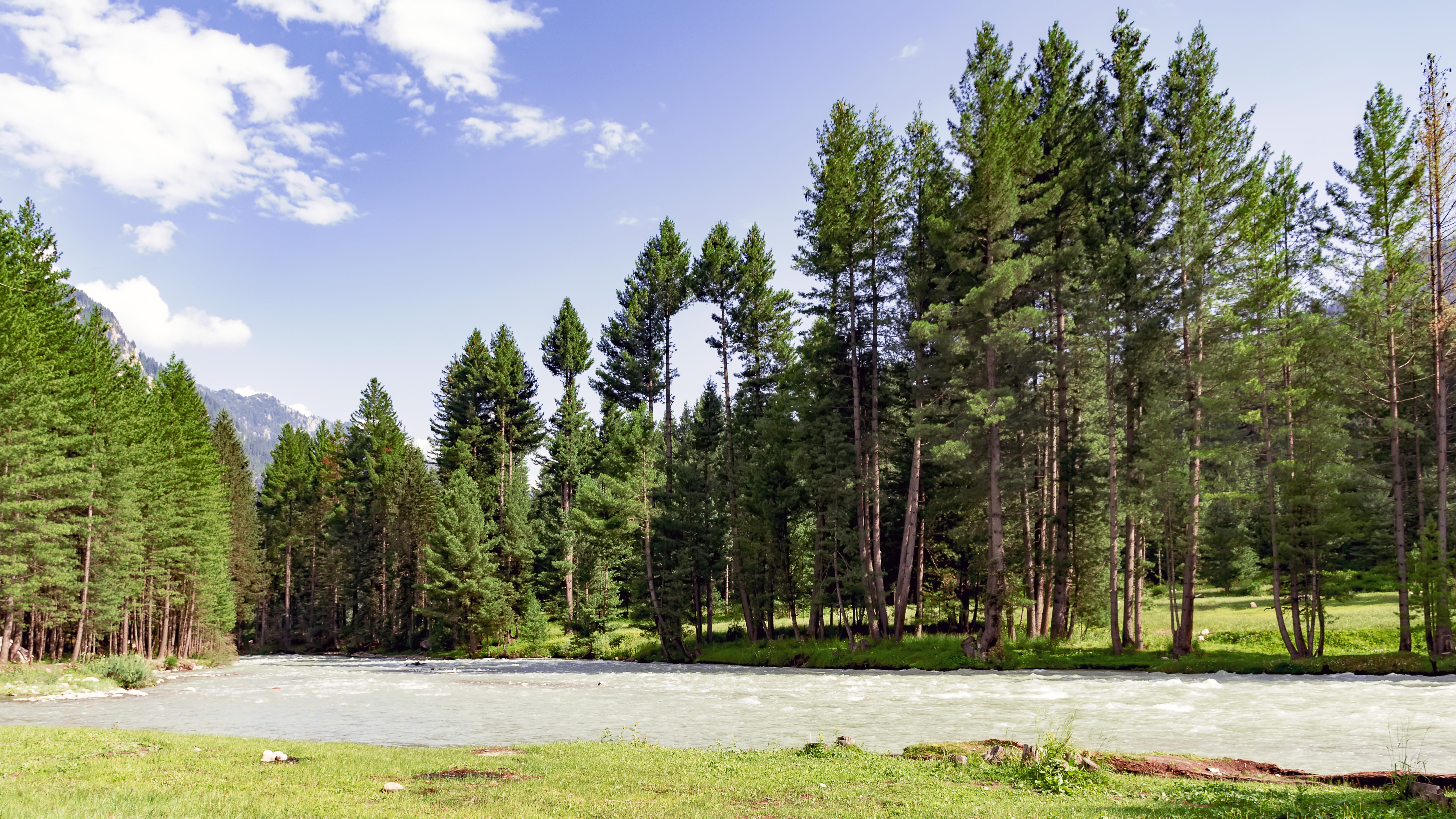 scenics - nature, coniferous tree, tranquil scene, growth, kpk, upperdir, pine woodland, non-urban scene, river, kumrat, photography, pine tree, tranquility, HD Wallpaper
