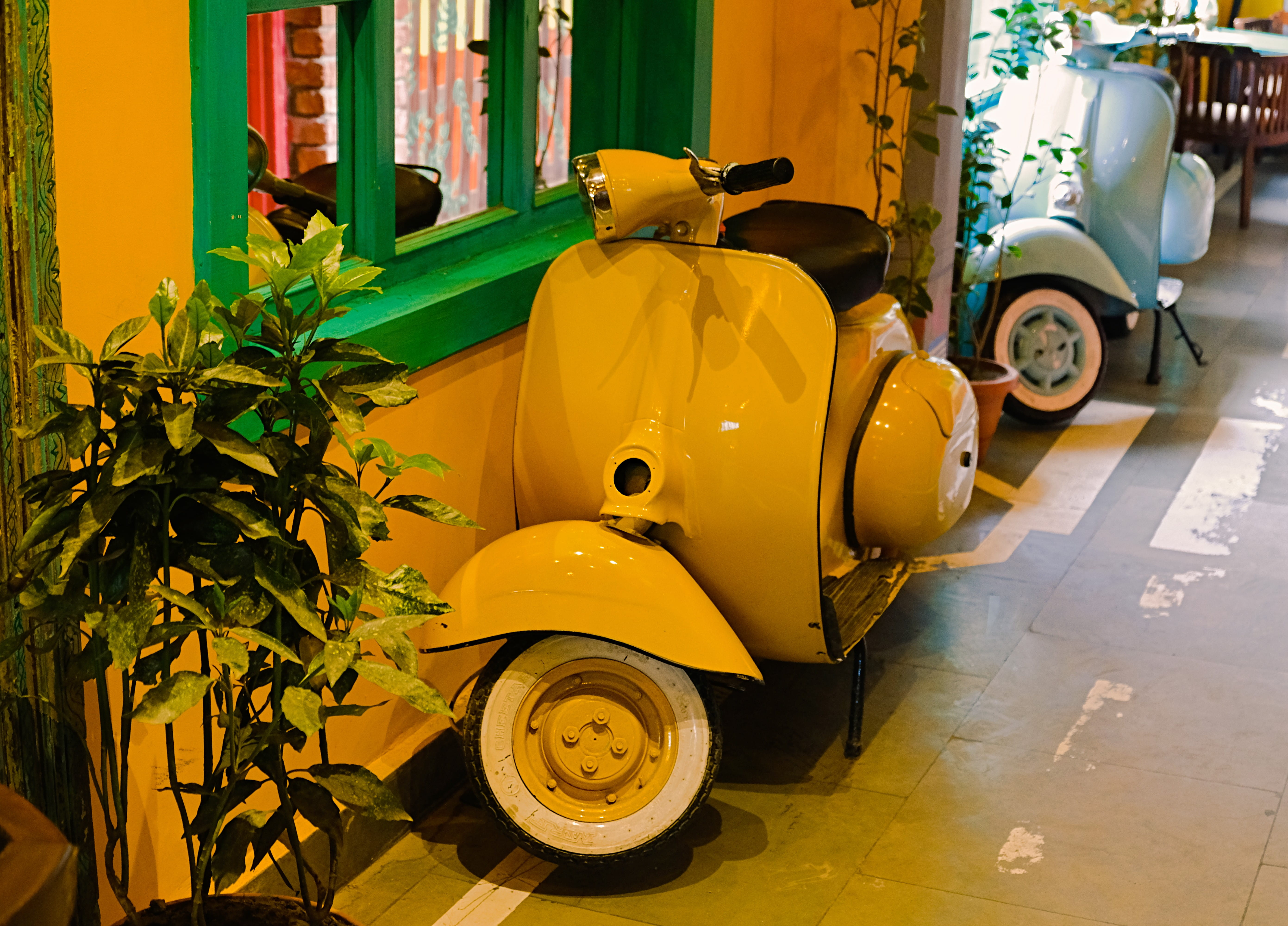 no people, stationary, plant, srinagar, vintage, city, bike, architecture, outdoors, 5K, nature, vintage car, motorcycle, transportation, wheel, parking, HD Wallpaper