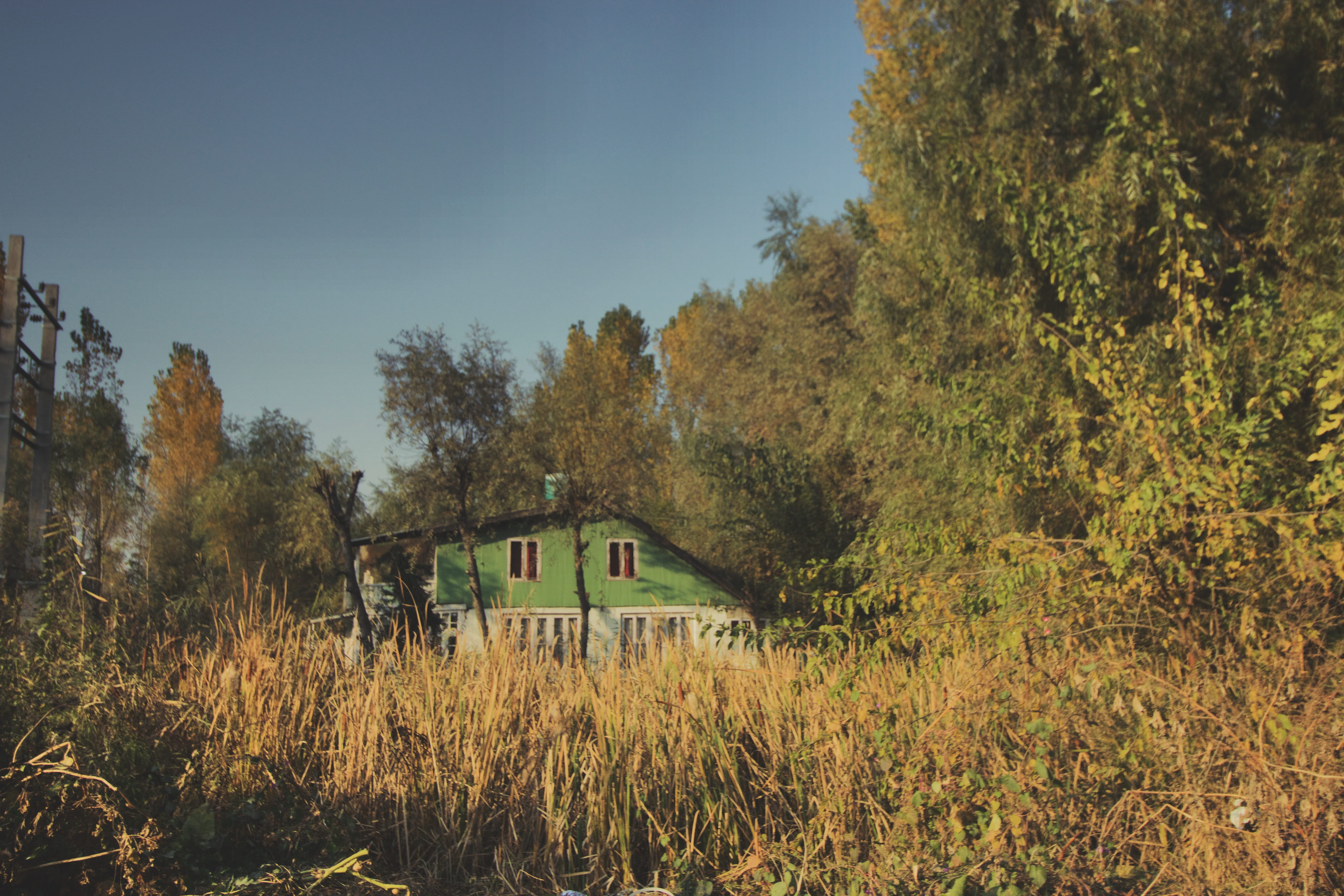 green color, outdoors, day, forest, bungalow, abandoned building, land, countryside, building exterior, surrounded, brush, beauty in nature, field, tranquility, HD Wallpaper