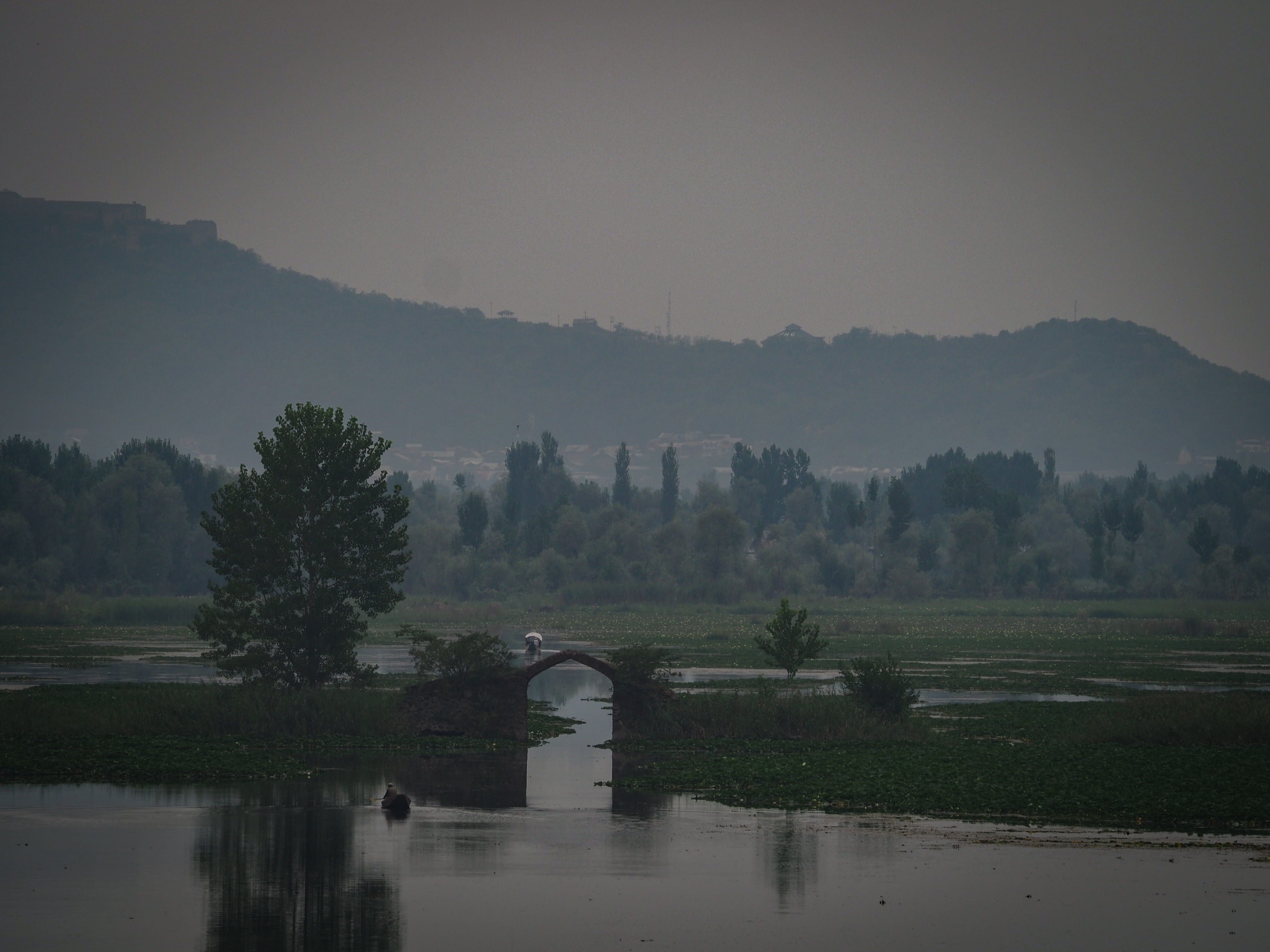 mist, sky, scenics - nature, bridge, fog, arch bridge, non-urban scene, kashmir, ditch, outdoors, abies, fir, scenery, lake near srinagar, plant, beauty in nature, HD Wallpaper