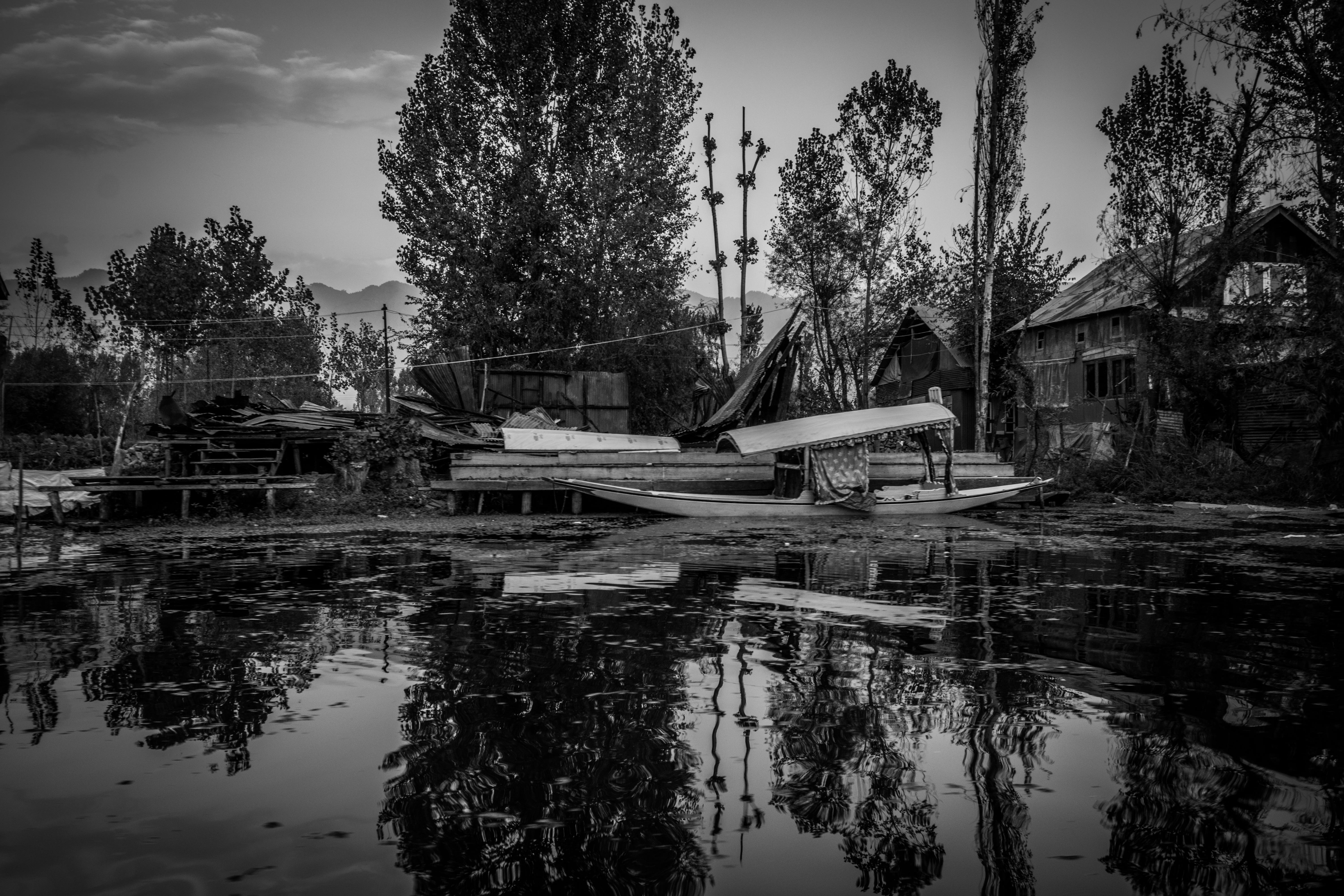 house boats, boat on water, water, passenger craft, tree, architecture, nature, rowboat, no people, reflection, black and white, black and white landscape, HD Wallpaper