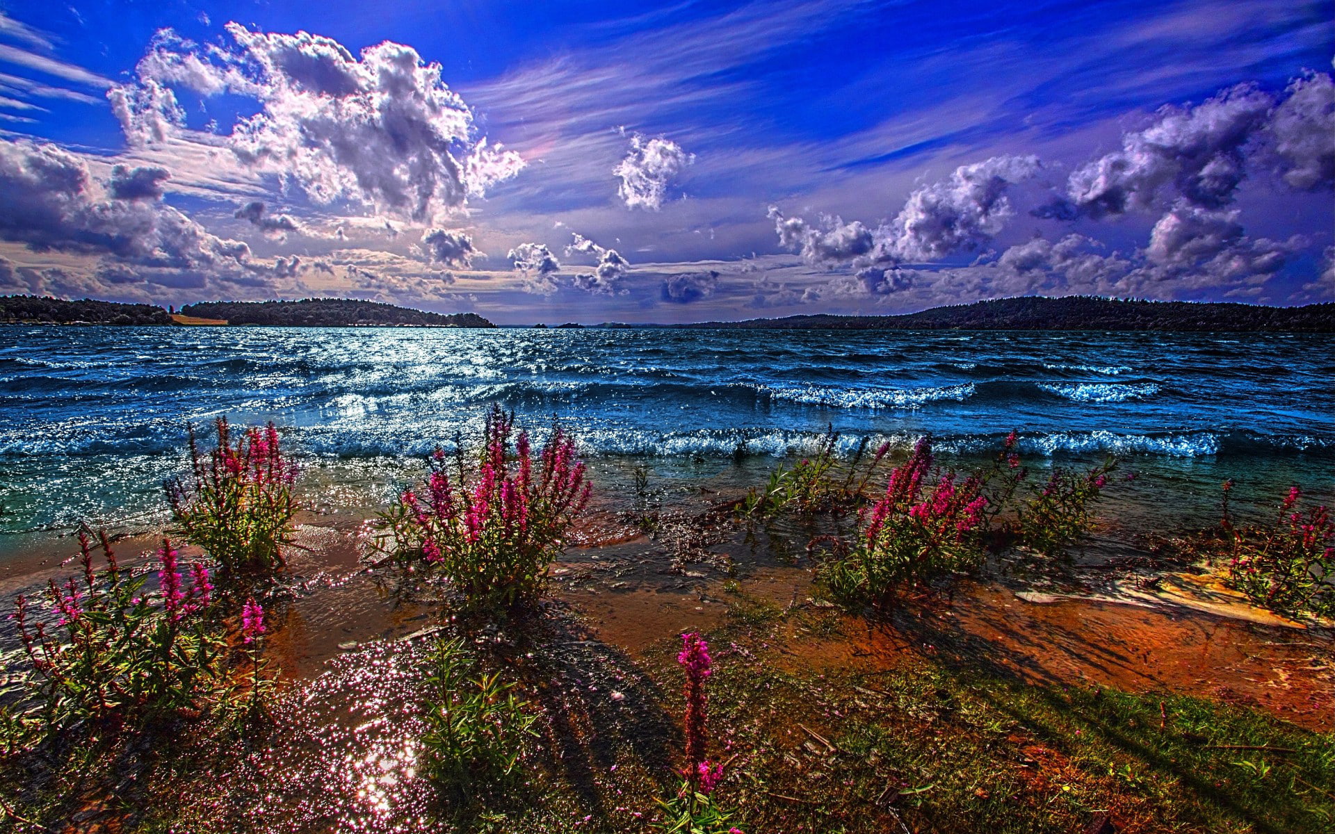 The SKY, CLOUDS, FLOWERS, HORIZON, SHORE, MOUNTAINS, POND, 1080P, The EXCITEMENT, LAKE, DAL, HD Wallpaper