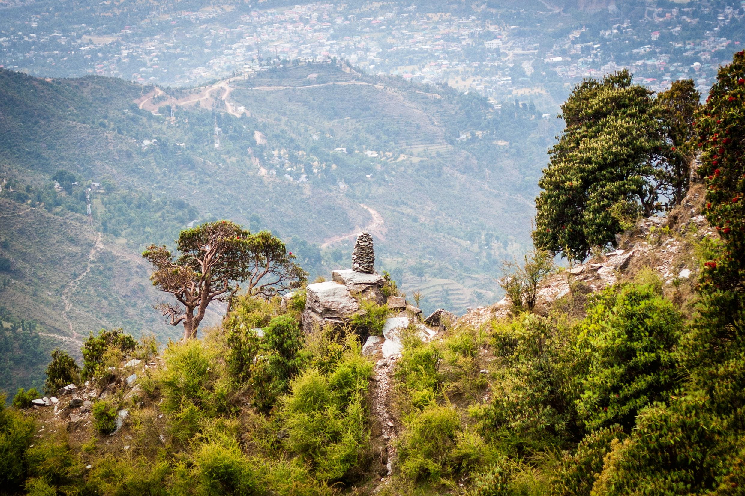 tree, triund trek trail, beauty in nature, himalayas, land, hills, no people, tranquility, mountains, trees, india, dharamshala, scenics - nature, non-urban scene, HD Wallpaper