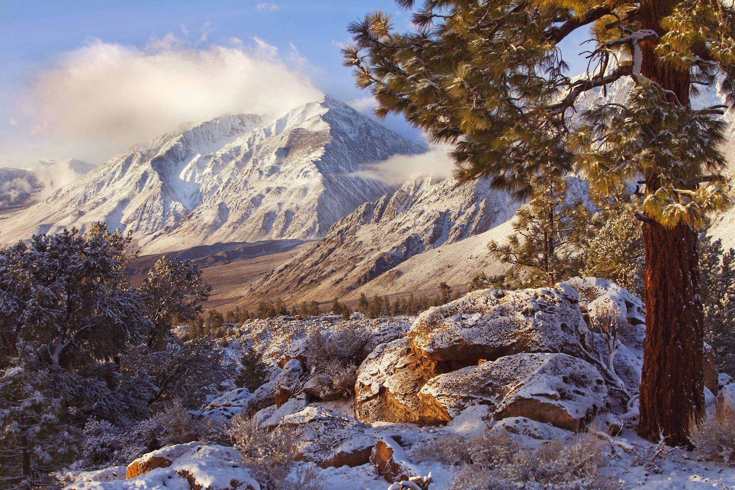 far view, California, winter, brown, beige, 1080P, plant, day, landscape, beauty in nature, nature, shrubs, tranquil scene, non-urban scene, tree, cold temperature, HD Wallpaper