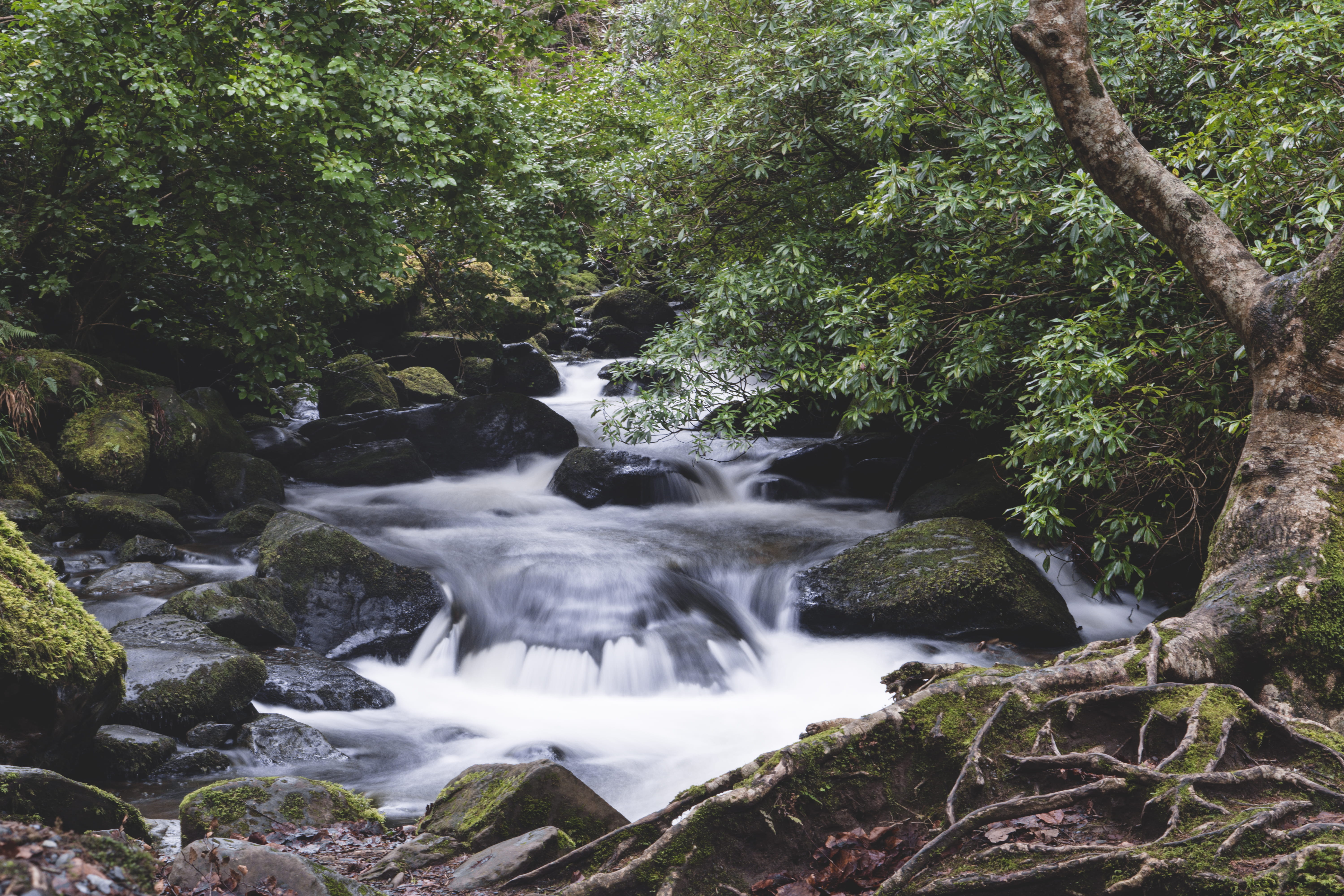 solid, killarney, motion, rocks, scenics - nature, power in nature, water, flowing water, torc waterfall, 5K, nationalpark, waterfall, ireland, flow, flowing, HD Wallpaper