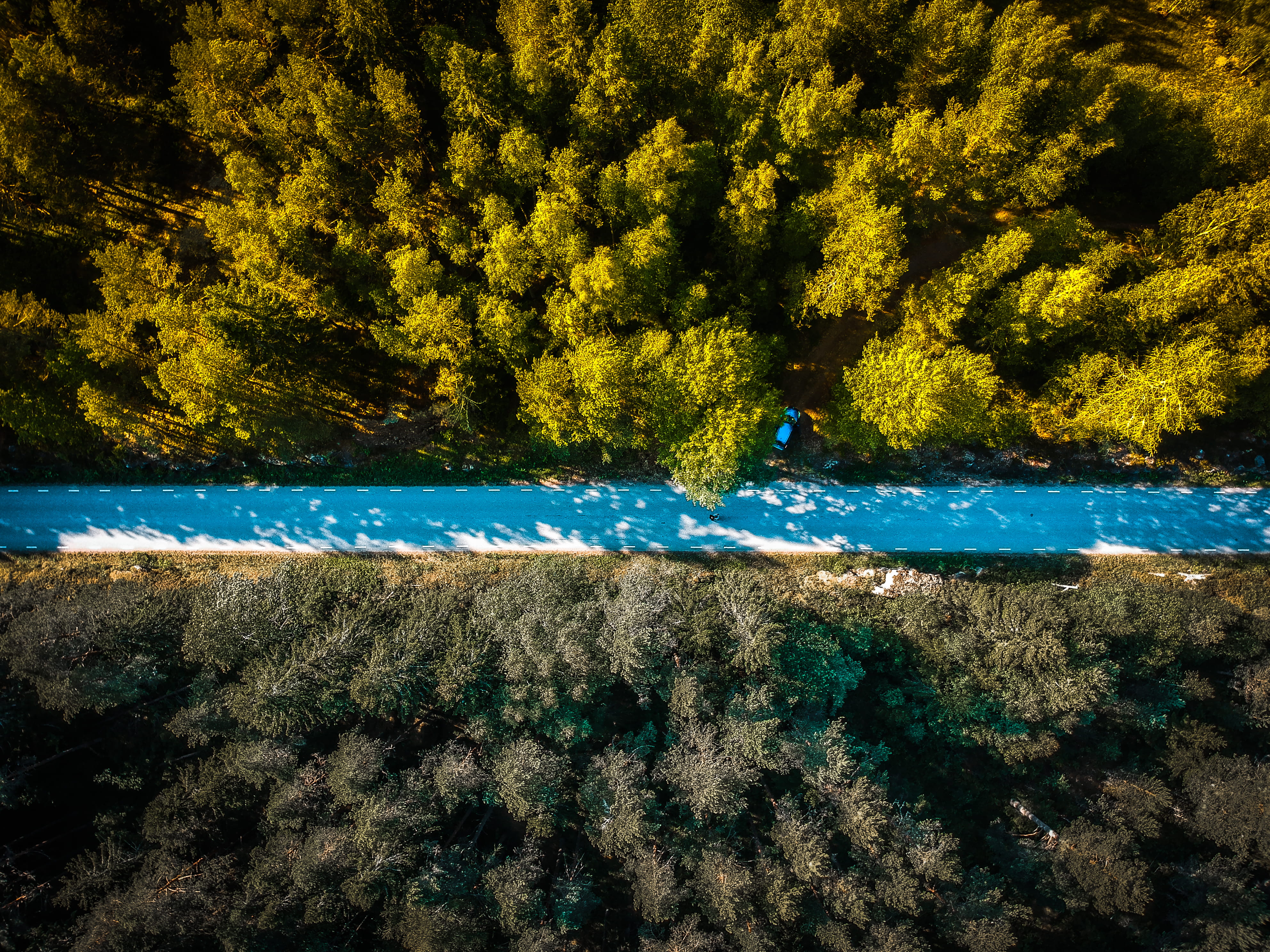 woods, non-urban scene, tree, bluecar, beauty in nature, land, real people, outdoors, blue, beach, 4K, tranquility, tivedens nationalpark, sea, sweden, HD Wallpaper