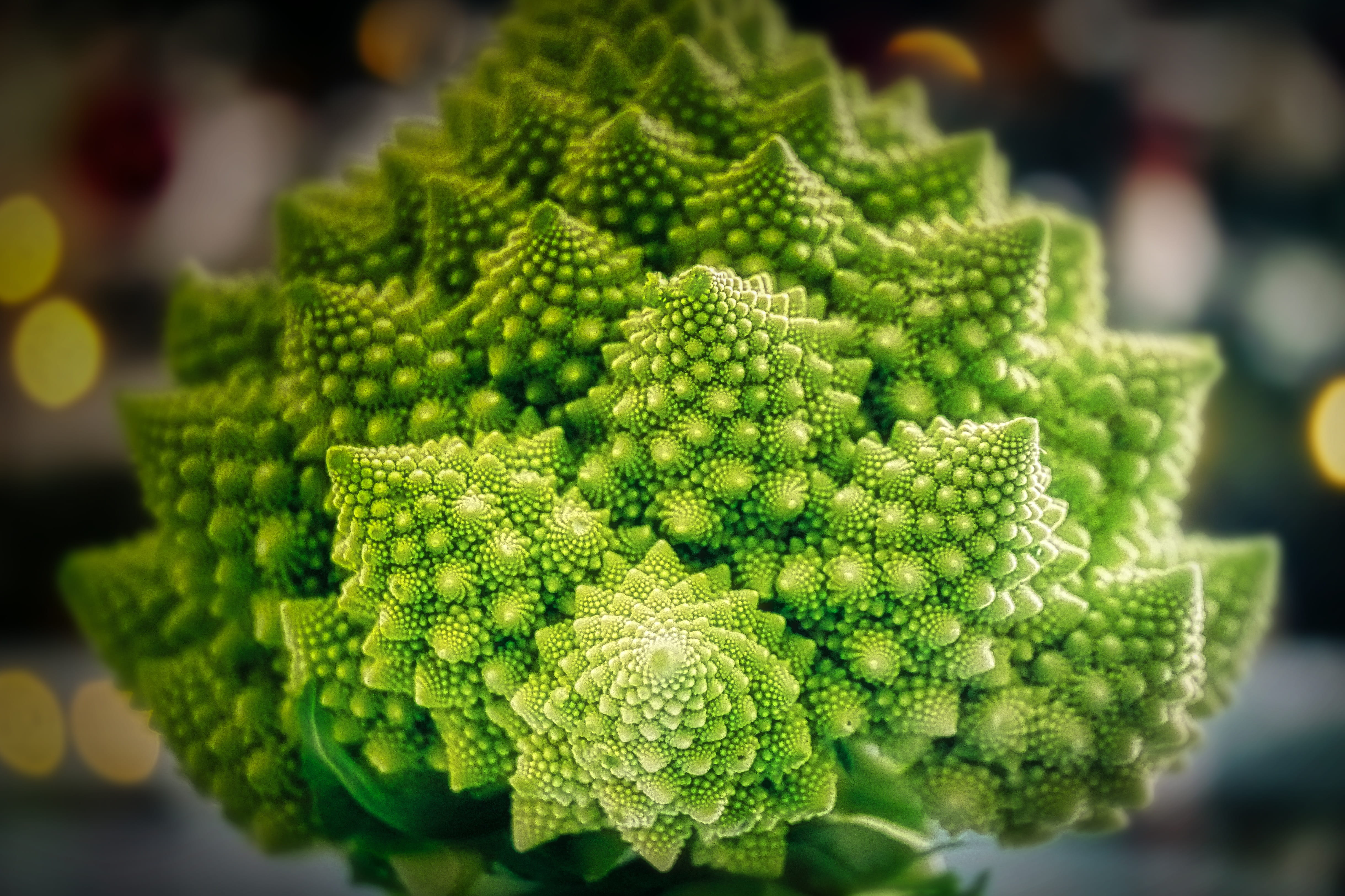 food and drink, bio, food, green color, vegetarian food, focus on foreground, eat, plant, natural phenomenon, indoors, fresh, kohl, close-up, fractal, healthy eating, HD Wallpaper