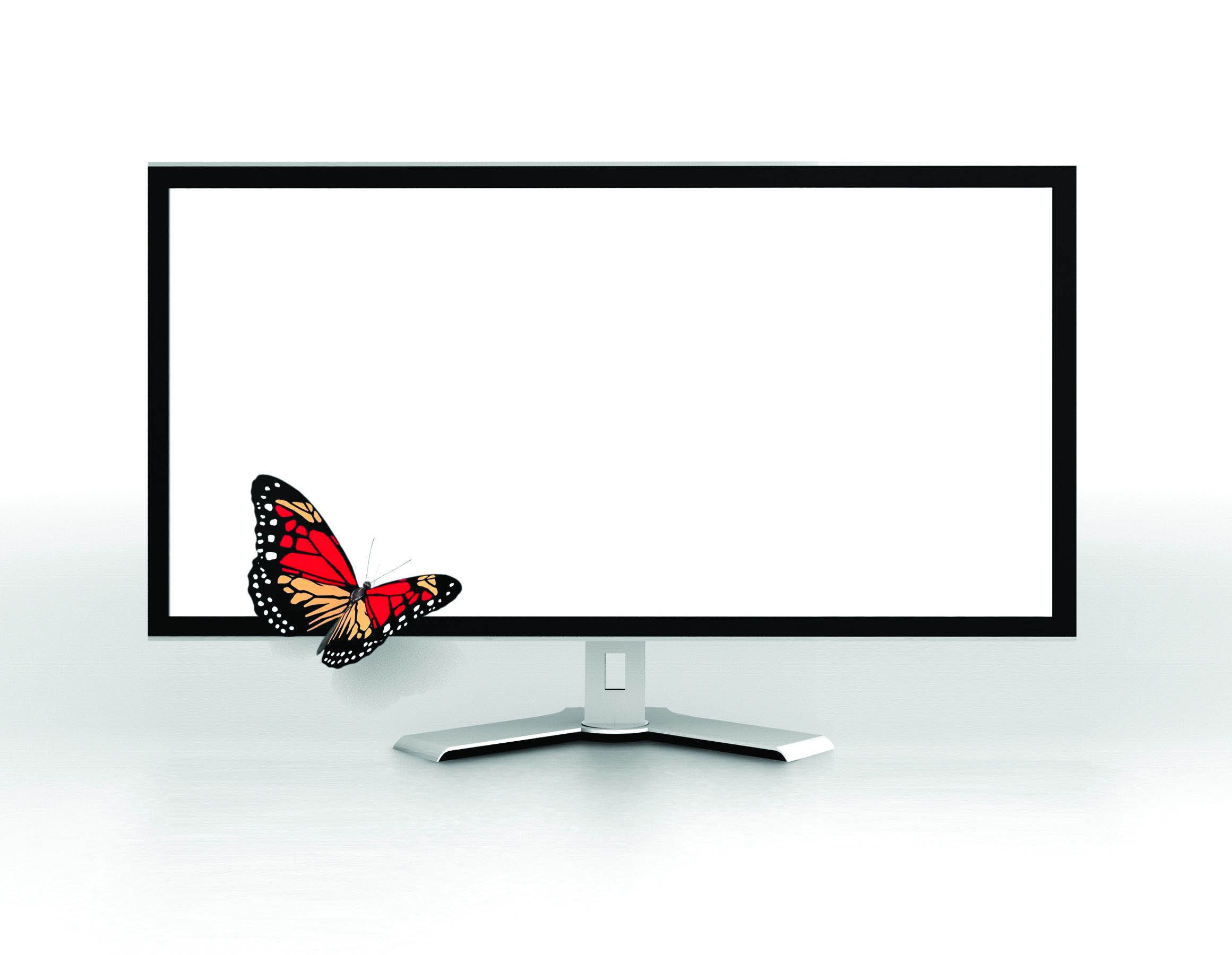screen, white background, equipment, backgrounds, desktop PC, isolated, animal wing, image, electrical Equipment, pC, 1080P, animal, liquid-Crystal Display, HD Wallpaper