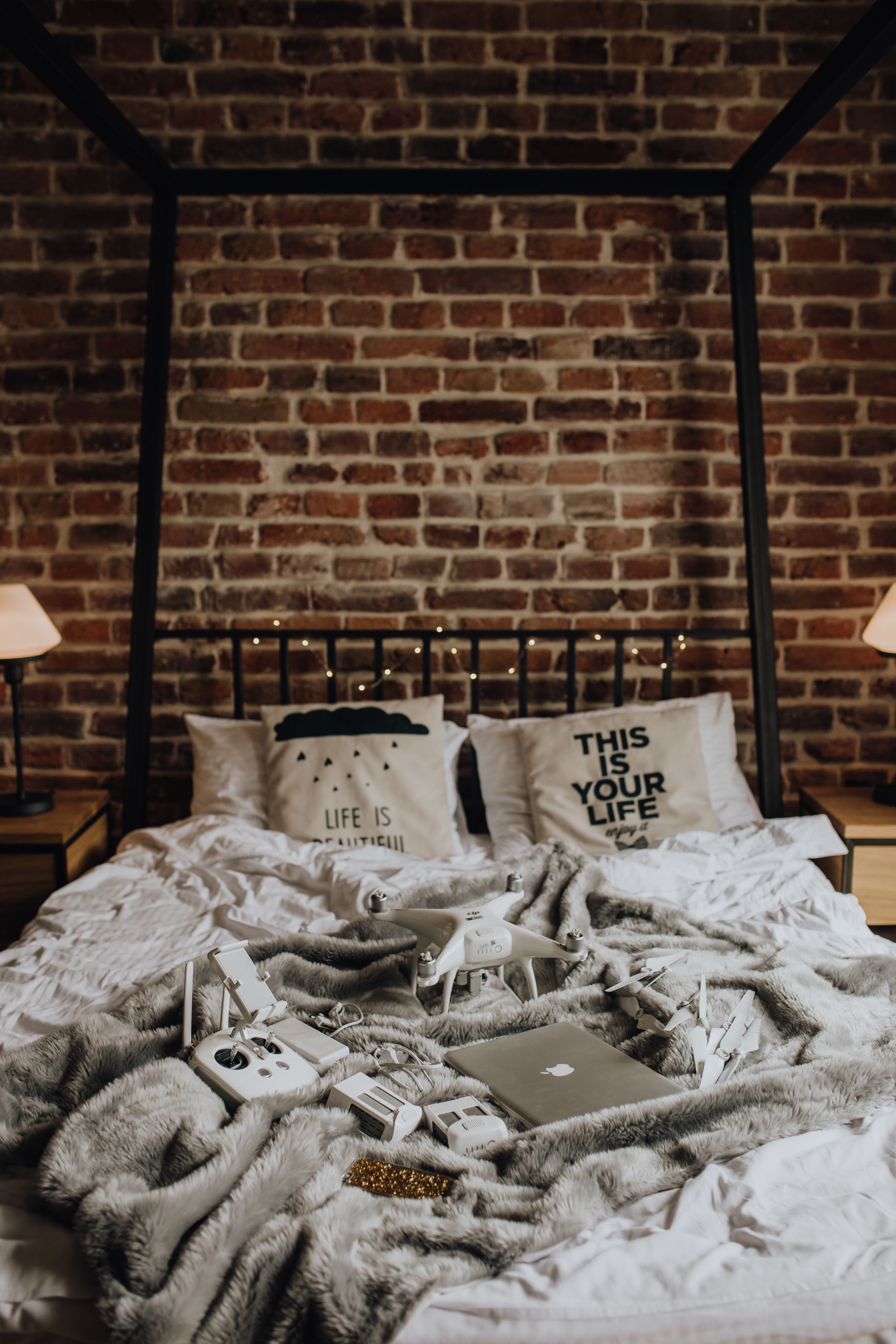 accessories, domestic cat, phantom 4, furniture, lie, ready, indoors, bedroom, travel, domestic, messy, wall, macbook, laptop, architecture, domestic animals, Phone HD Wallpaper