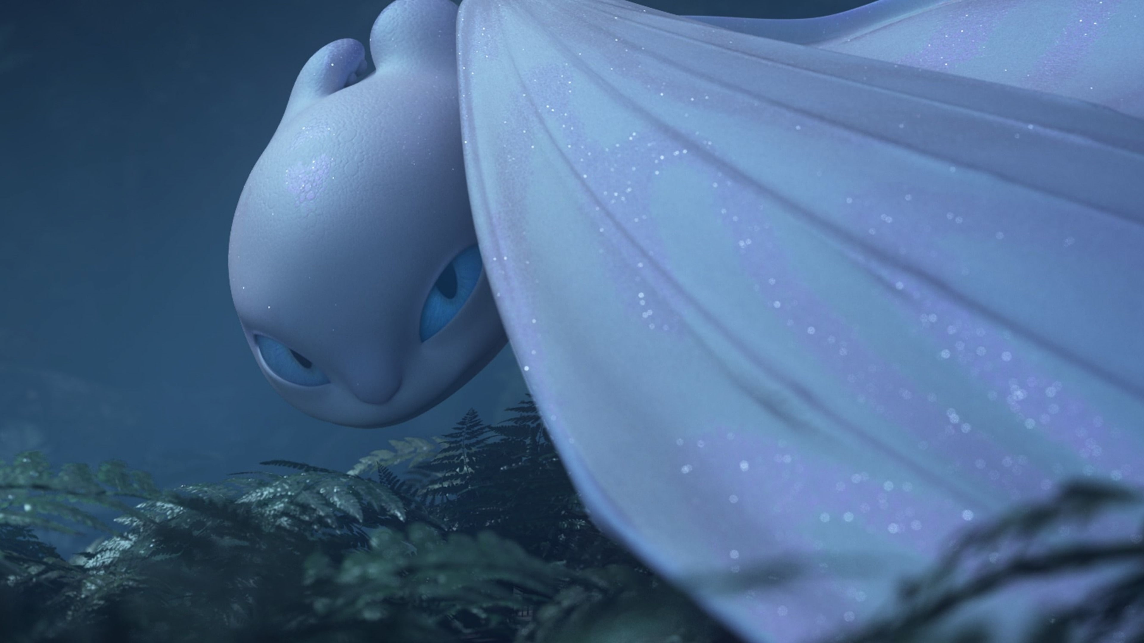 4K, How to Train Your Dragon: The Hidden World, 4K, HD Wallpaper