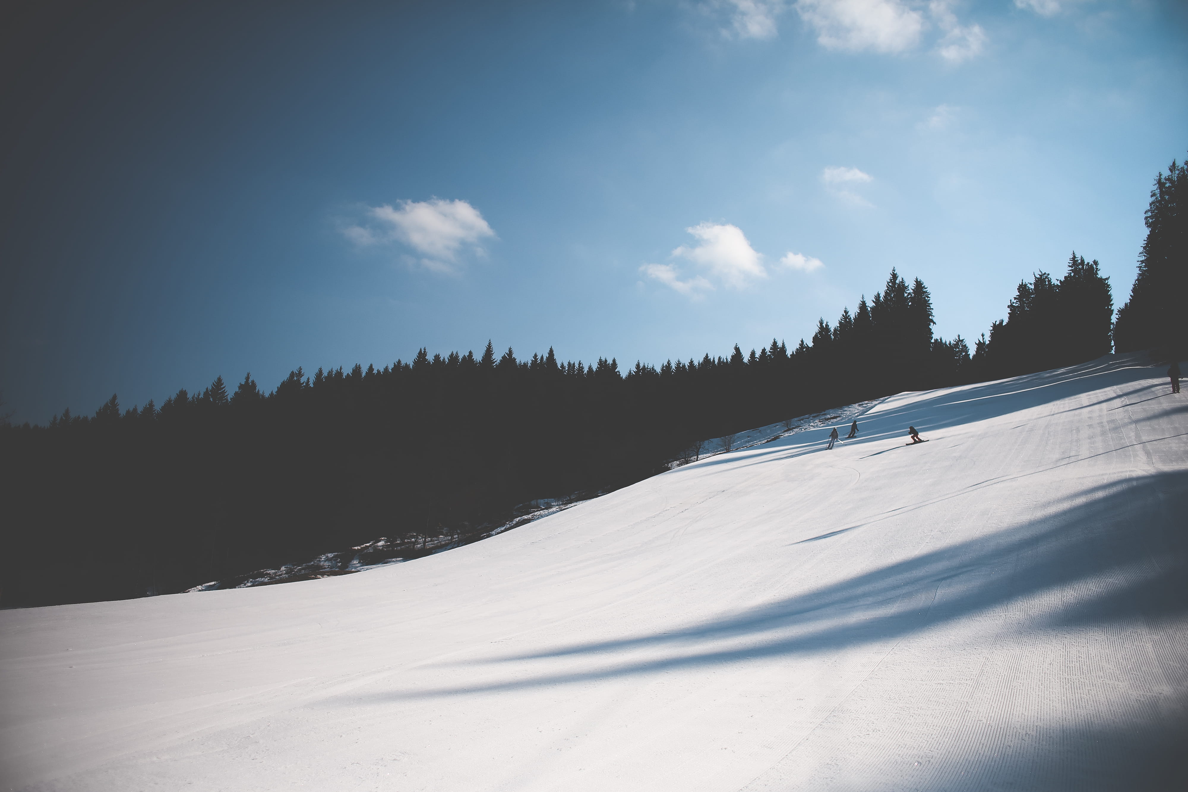 cloud - sky, 4K, environment, tranquility, winter, scenics - nature, non-Urban Scene, Sky, forest, no People, blue, pine tree, tranquil Scene, landscape, HD Wallpaper