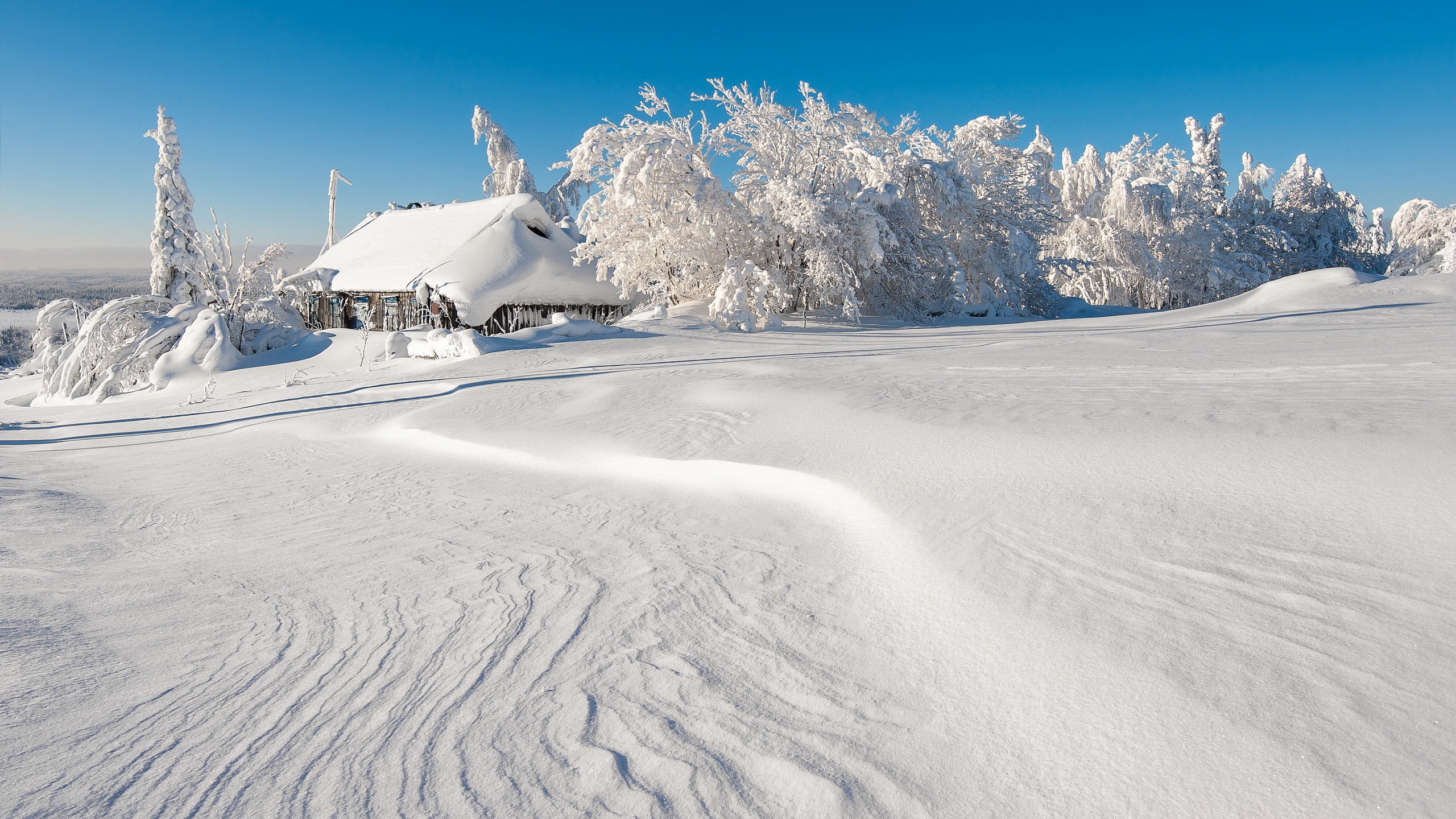 snowcapped mountain, freshness, day, white, vacations, sunlight, europe, frozen, forest, european Alps, drifts, winter, sport, cottage, woodland, field, HD Wallpaper