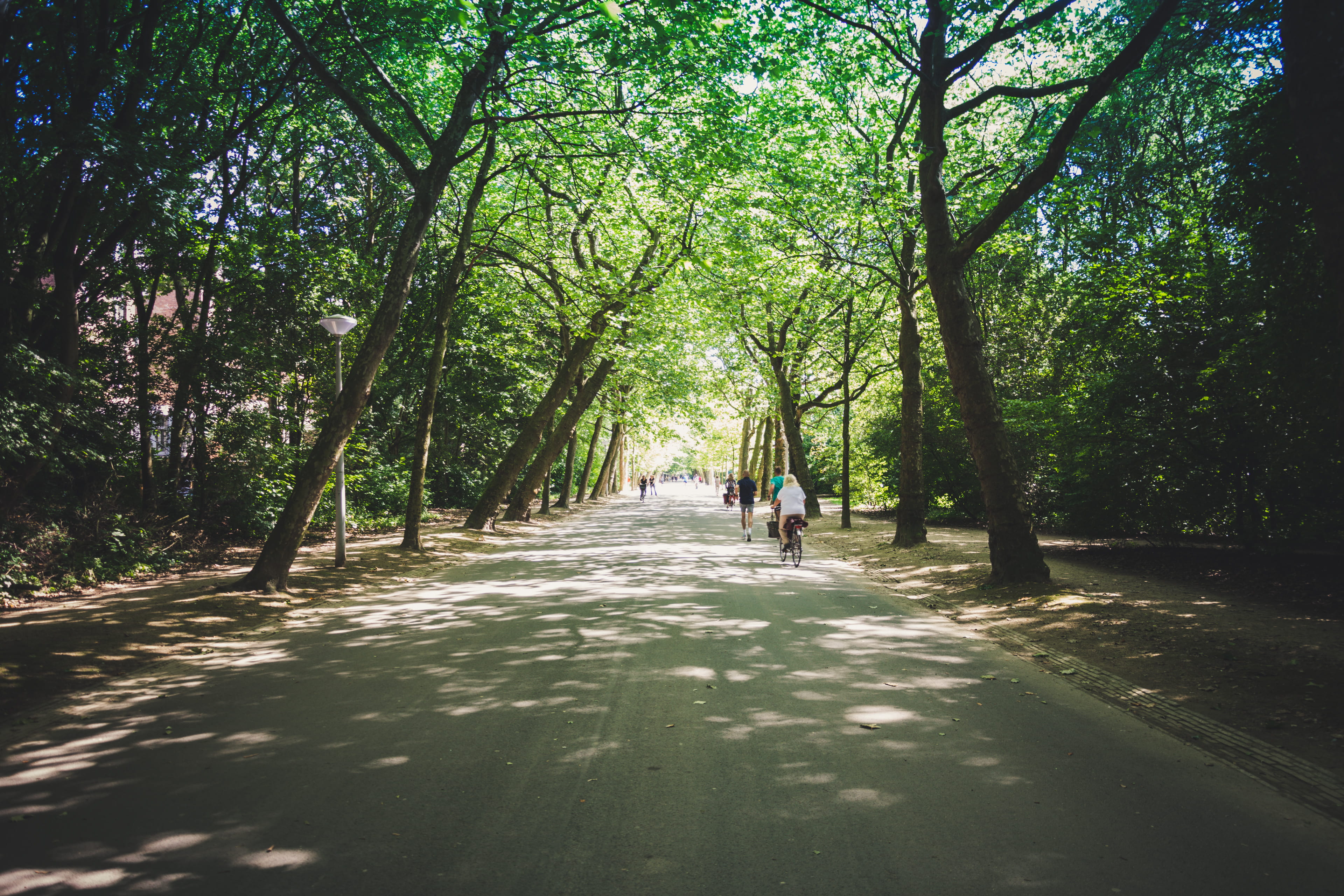 leisure activity, walking, person, 4K, real people, path, jogger, amsterdam, shade, direction, transportation, light, runner, sunlight, parc, outdoors, HD Wallpaper
