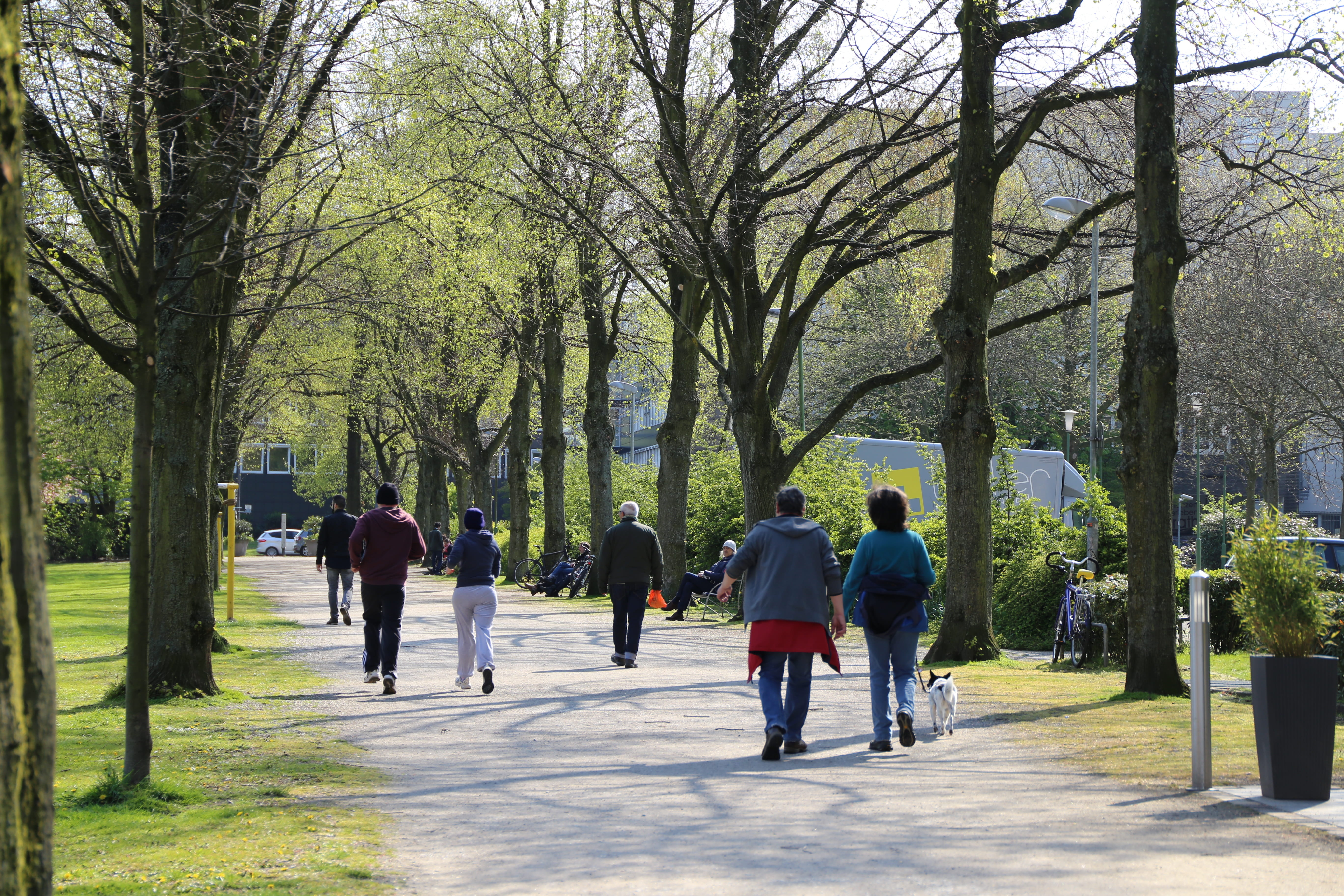 green, fit, footpath, sunny, park, outside, jogger, activity, humans, nature, fitness, happy, season, environment, lifestyle, day, growth, trees, outdoors, HD Wallpaper