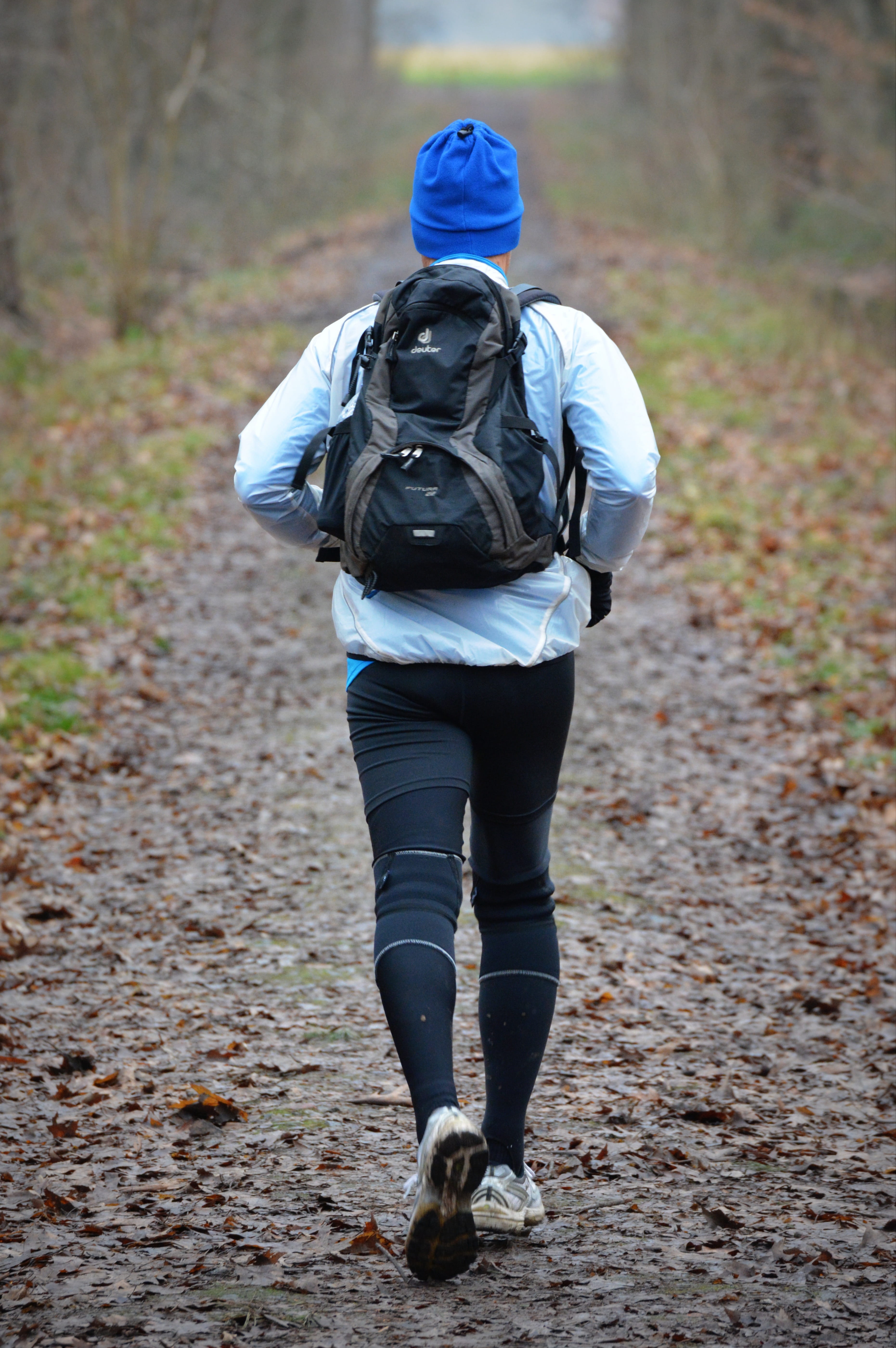 clothing, carrying, over outfit, warm clothing, winter, Sports, walking, Jogging, lifestyles, footpath, land, Jogger, rear view, man, runner, nature, casual clothing, Phone HD Wallpaper