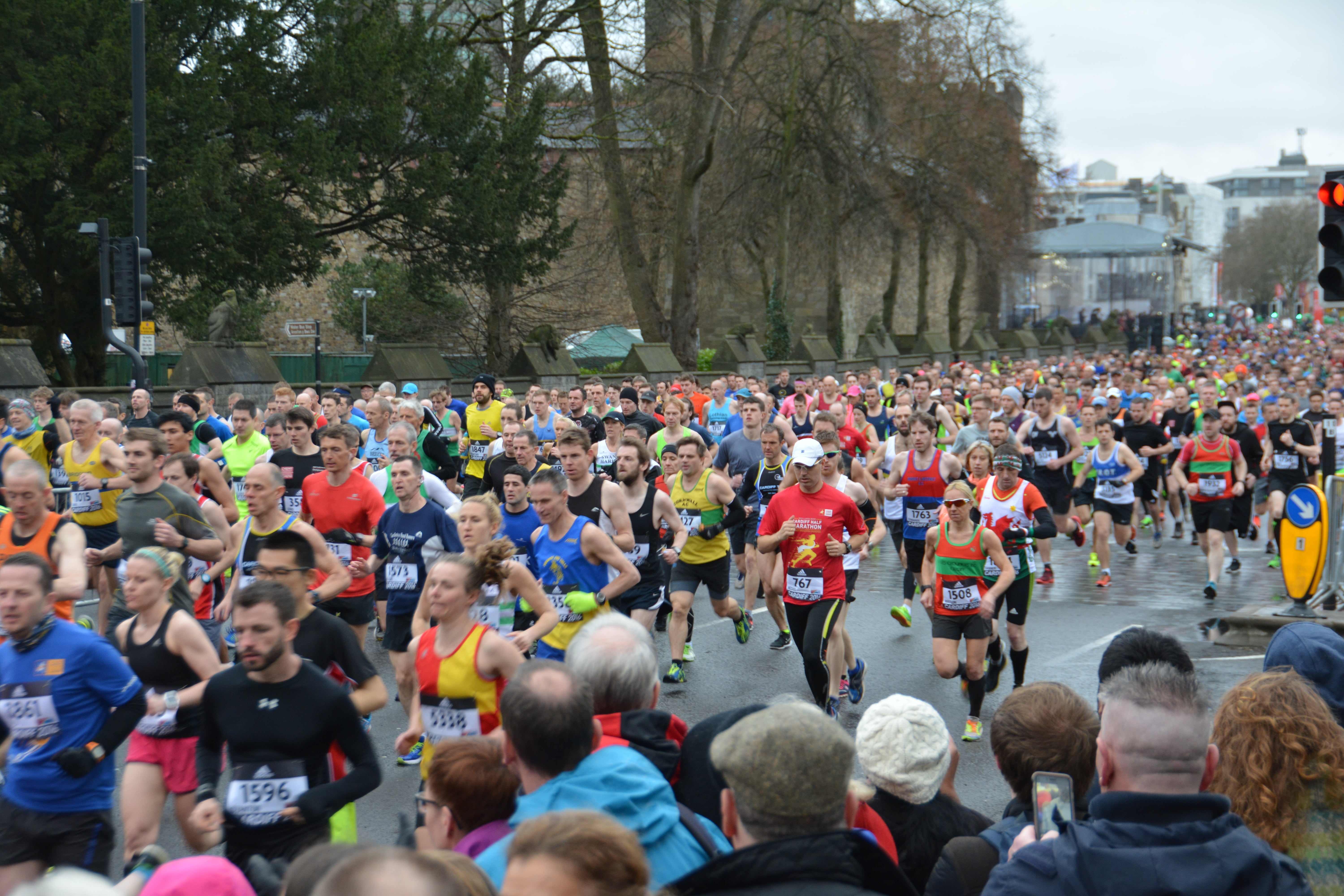 workout, large group of people, jogging, nature, healthy lifestyle, marathon runners, outdoor fitness, people, crowd, run, trees, day, training, running, HD Wallpaper