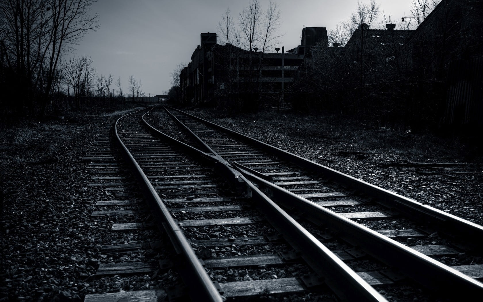 nature, diminishing perspective, bare tree, railway, grayscale, train, building exterior, sky, photo, mode of transportation, tracks, track, 720P, no people, HD Wallpaper