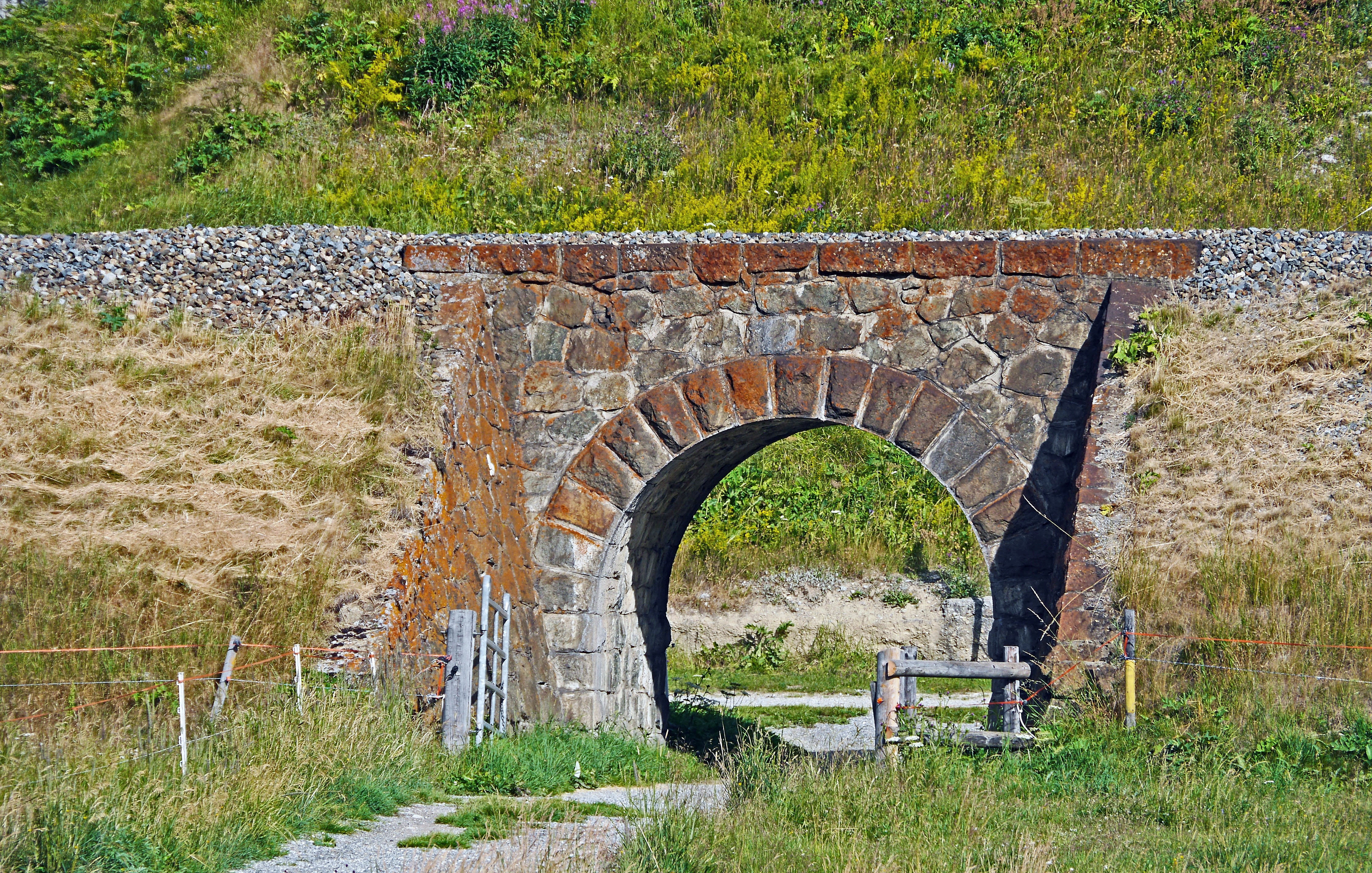 rhaetian railways, trasse, grass, tree, engadin, plant, field, day, europe, railway embankment, outdoors, nature, old, rhb, stone wall, small stone bridge, HD Wallpaper