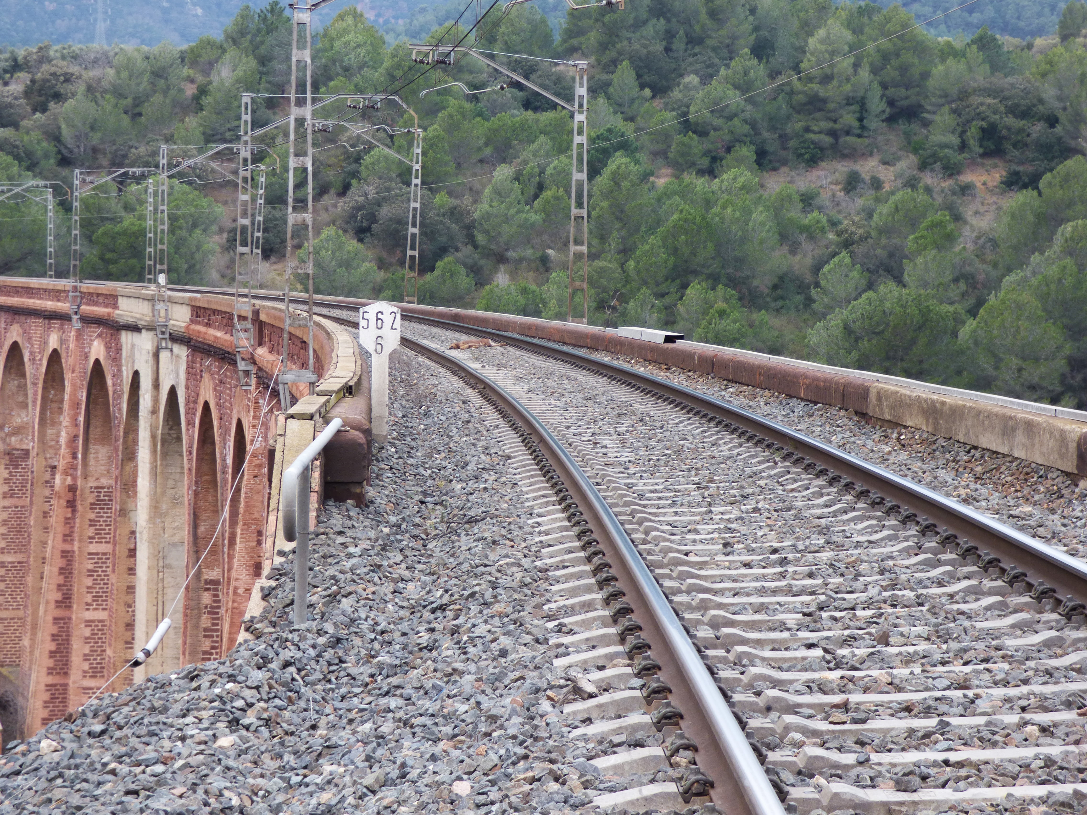 nature, railroad track, mode of transportation, transportation, direction, public transportation, 4K, metal, train, the way forward, arches, no people, HD Wallpaper