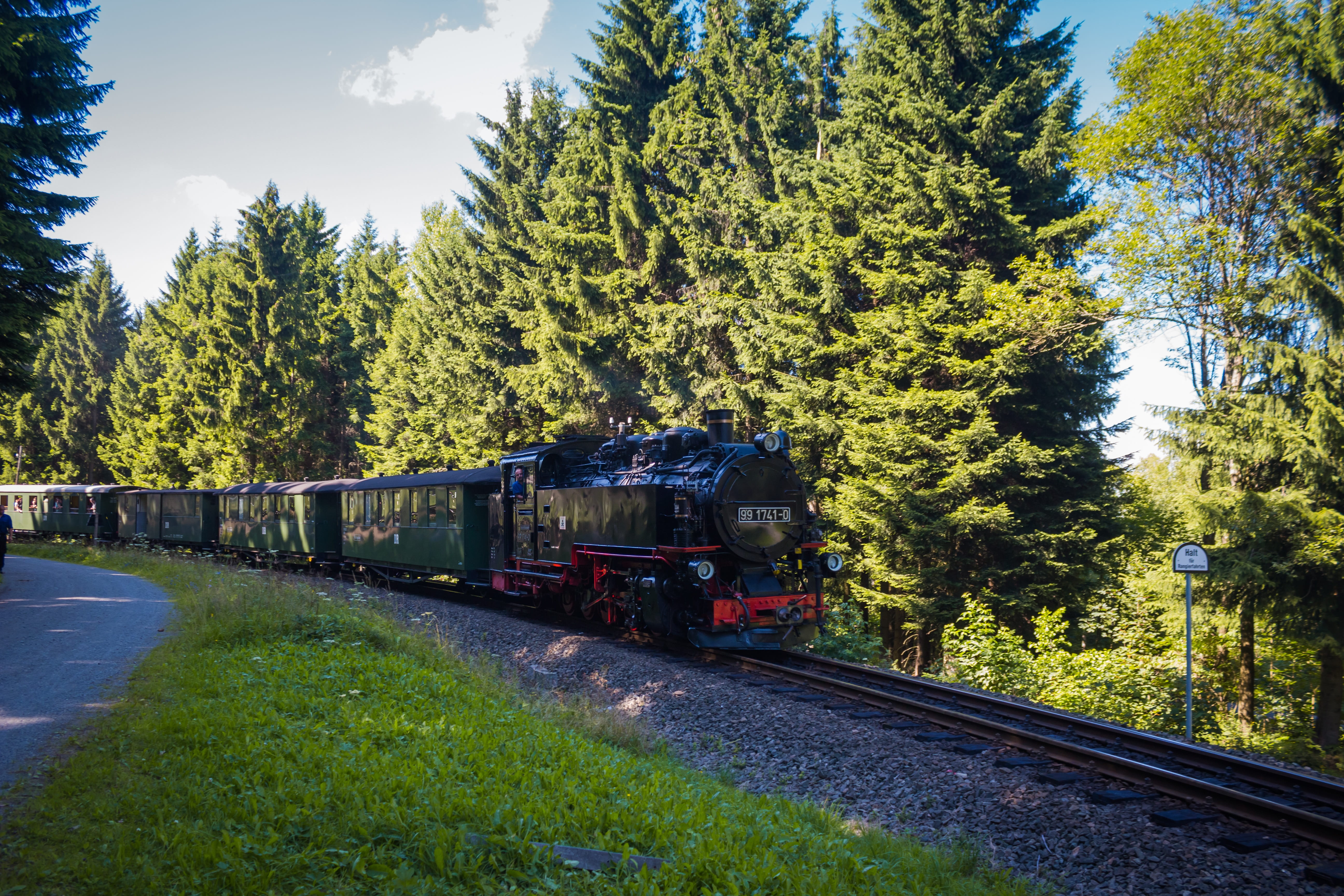 plant, cars, growth, tree, light railway, steam locomotive, steam train, public transportation, mode of transportation, fichtelbergbahn, land vehicle, 5K, HD Wallpaper