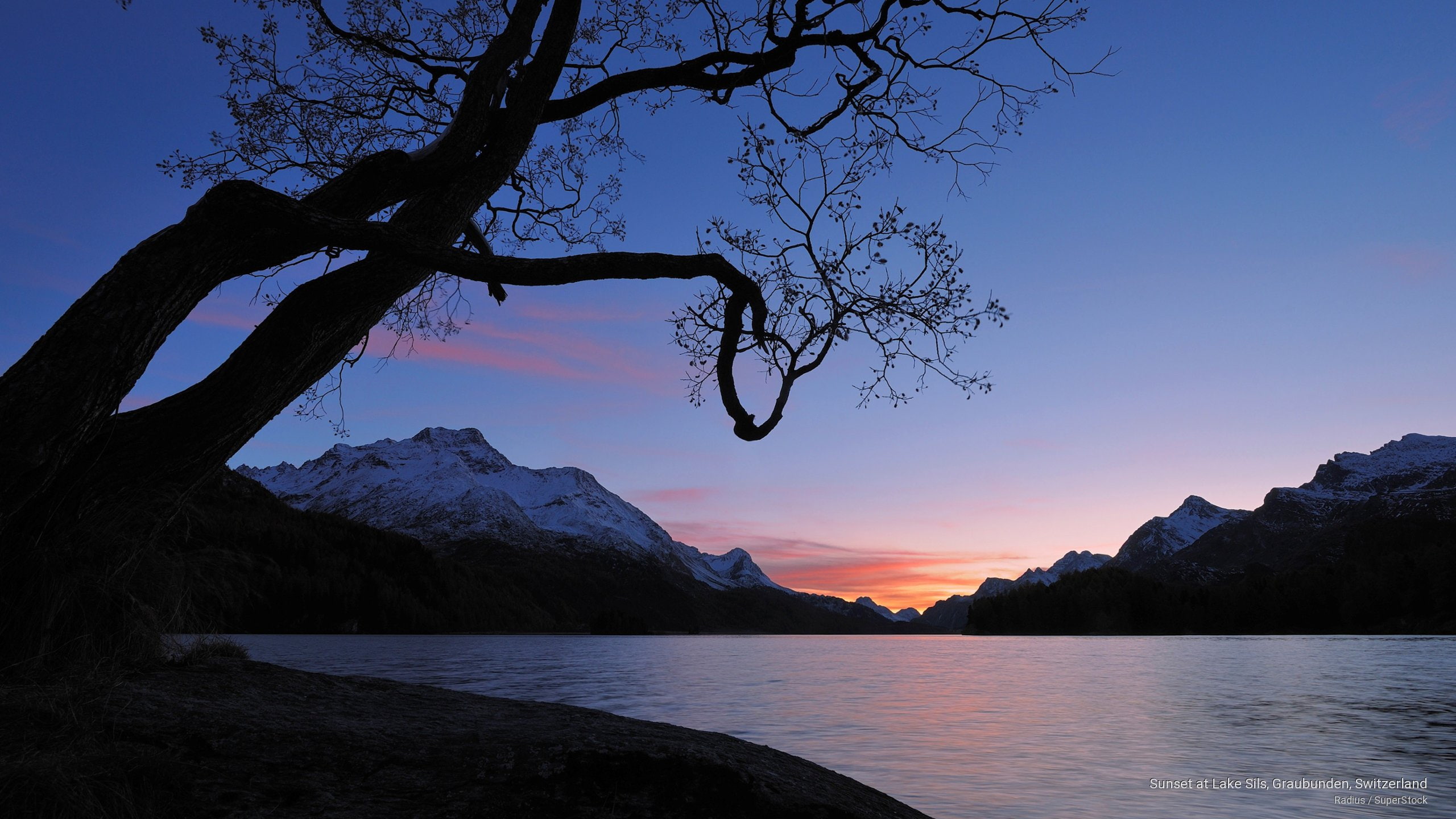 2K, graubunden, switzerland, sunset, Europe, lake, sils, HD Wallpaper
