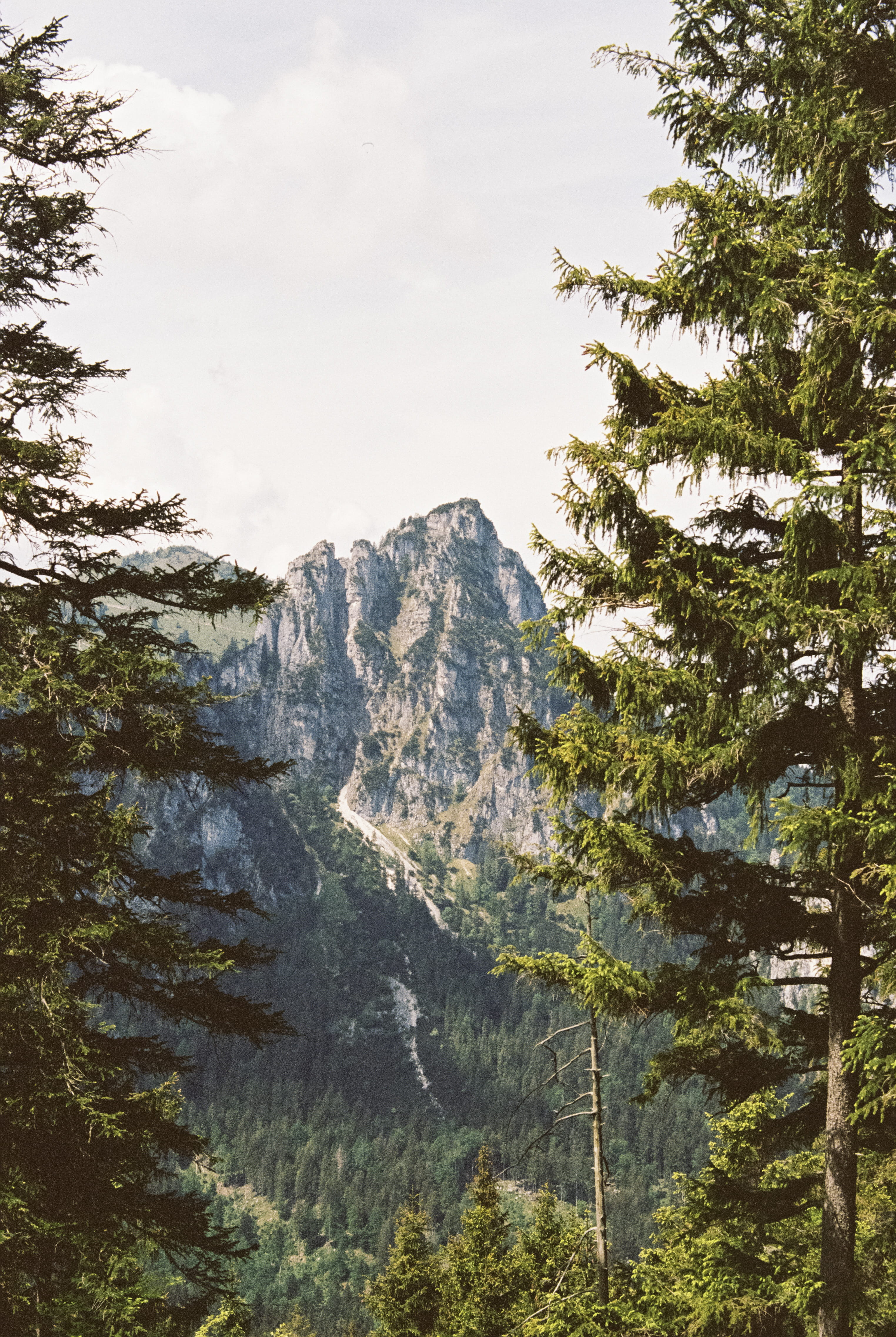 cloudy, peak, hiking, photo, summer, nature, forest, green Color, natural, woodland, portra, national Landmark, habitat, highland, 4K, rock - Object, rock, Phone HD Wallpaper