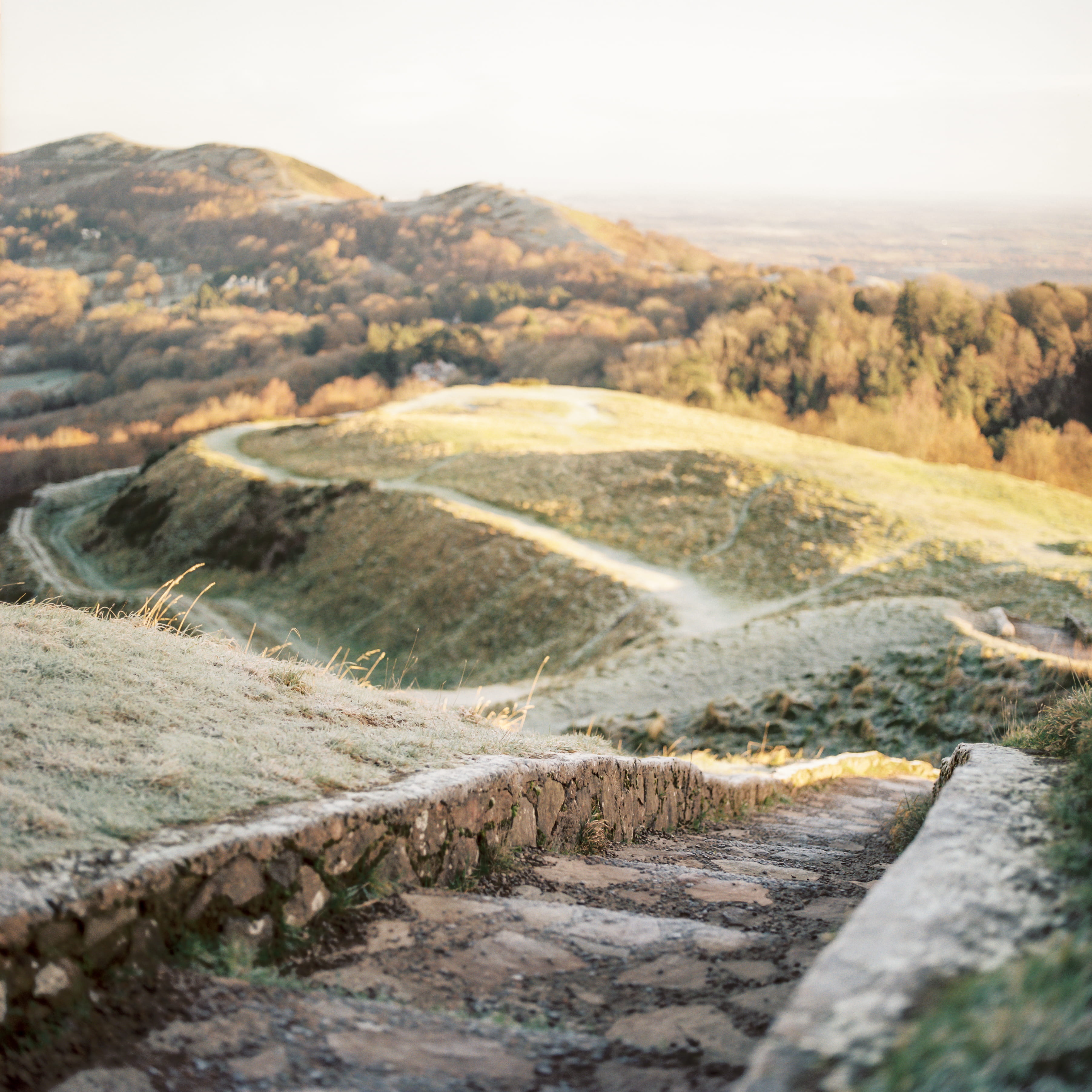 landscape, 2K, malvern hill, the way forward, sunrise, film, scenics - nature, outdoors, tranquil scene, hasselblad, land, beauty in nature, direction, Phone HD Wallpaper