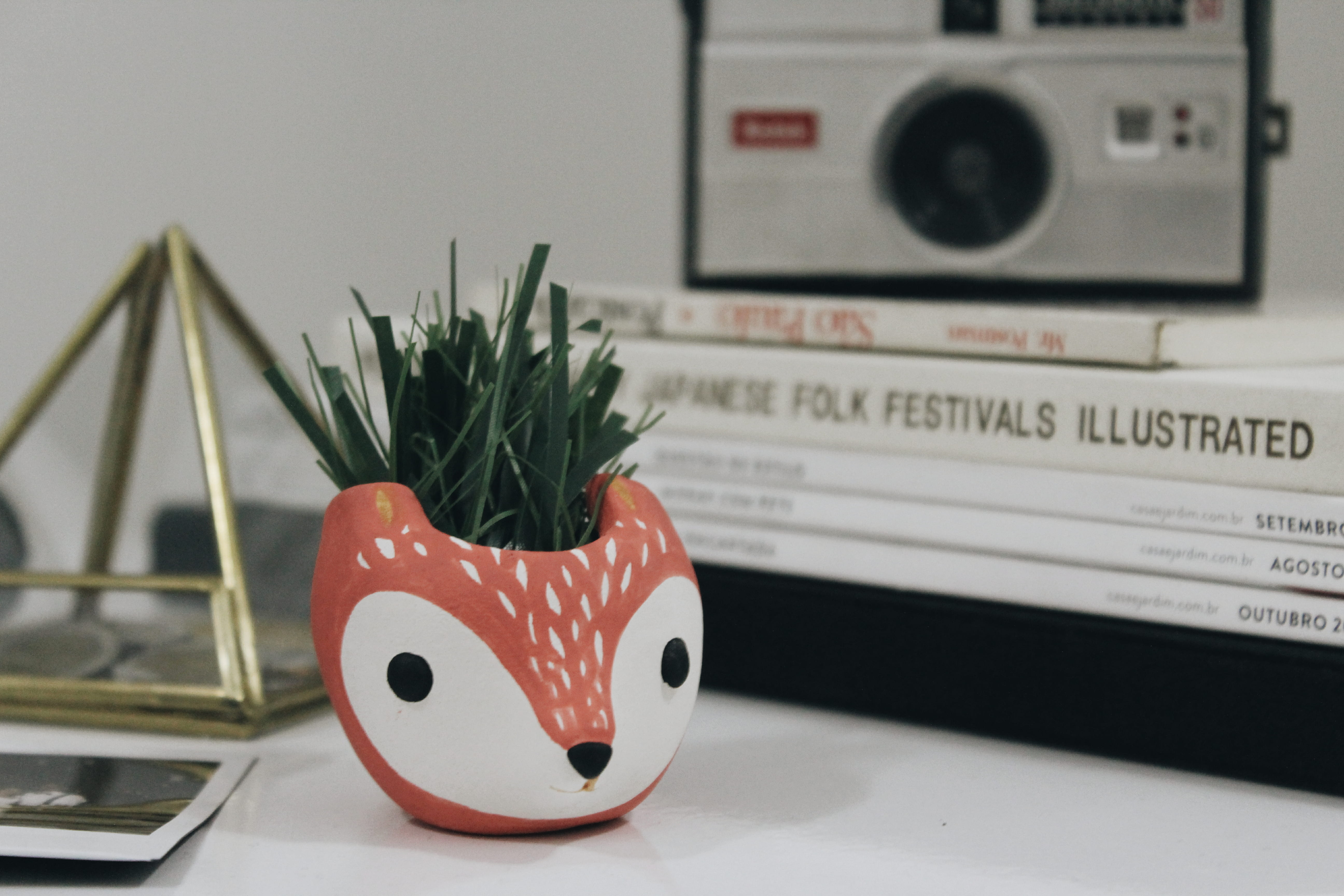 kodak, desk, potted plant, holiday, green, books, red, christmas, still life, triangle, vase, grass, western script, art and craft, decoration, communication, HD Wallpaper