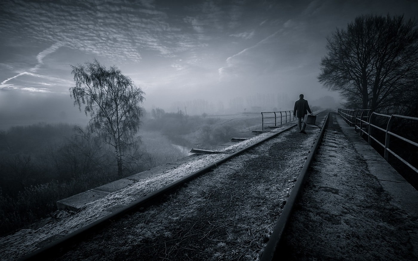 rear view, trees, men, tree, mist, transportation, the way forward, 720P, nature, outdoors, railway, sky, one person, tranquility, bridge, monochrome, HD Wallpaper