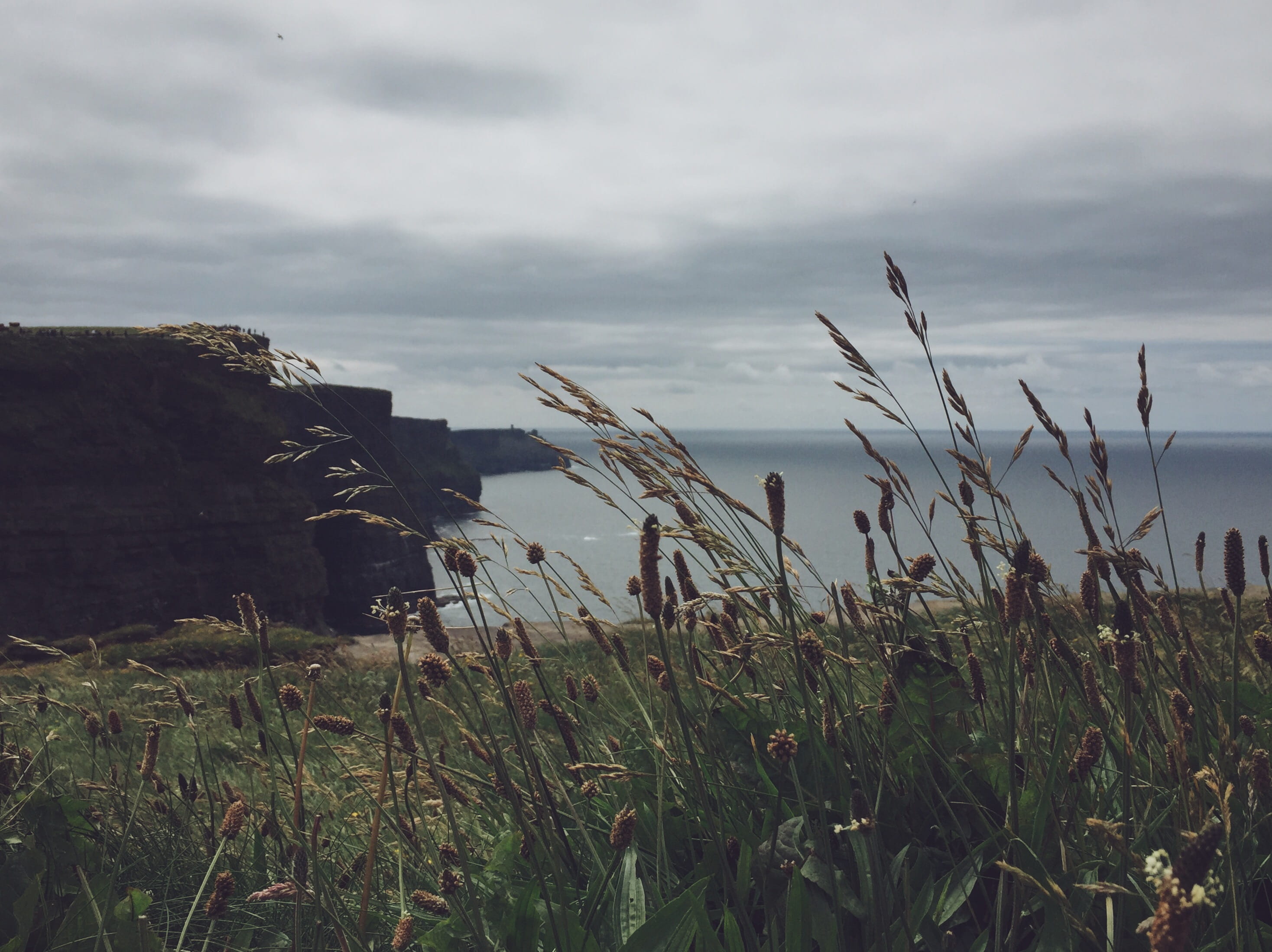 solid, field, growth, nature, timothy grass, sky, environment, rock - object, claire, tranquil scene, scenics - nature, travel, land, rock, outdoors, cloud - sky, HD Wallpaper