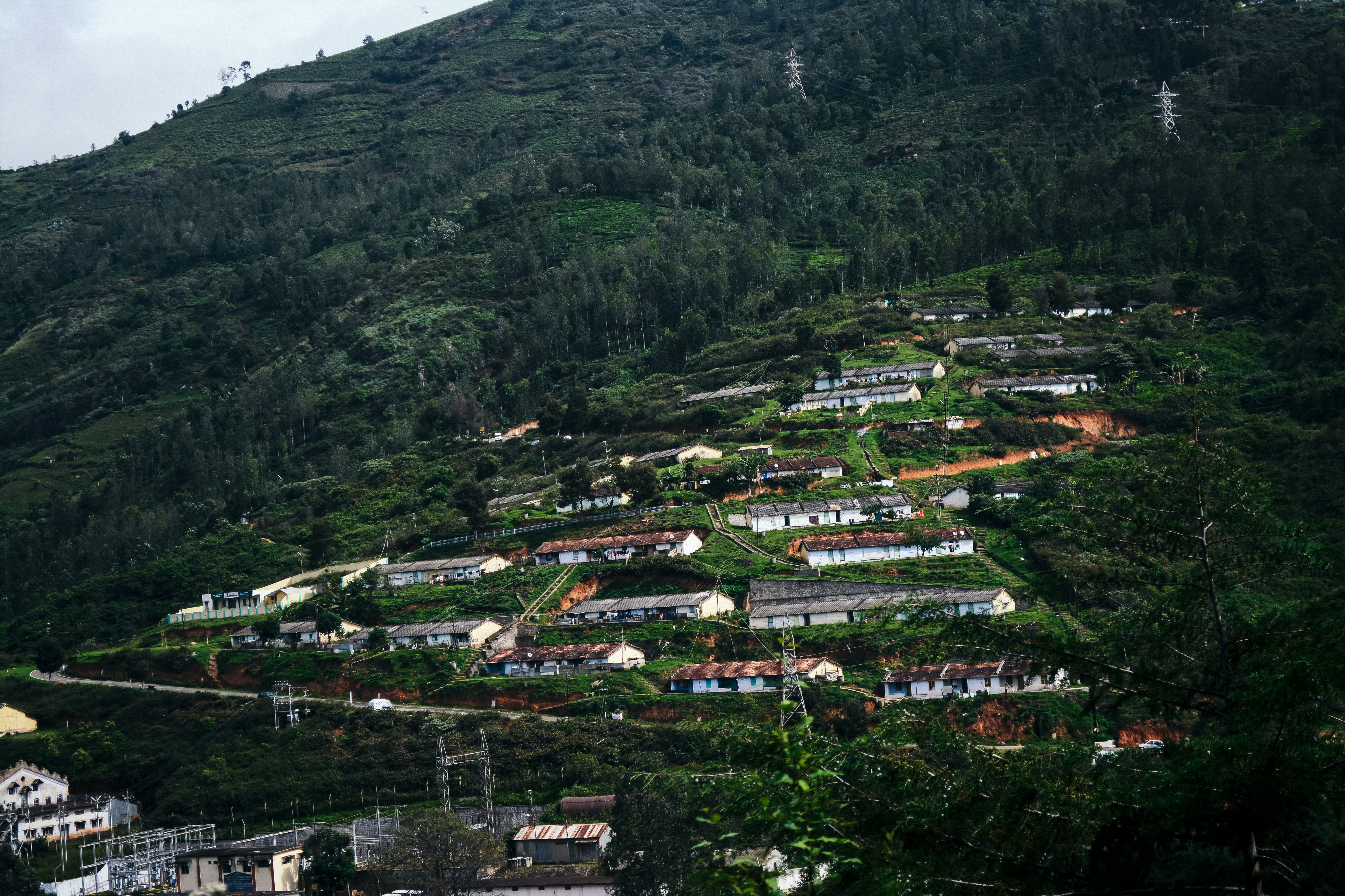 5K, outdoors, built structure, travel, high angle view, building, tree, landscape, growth, green, beauty in nature, ooty, forest, no people, city, nature, HD Wallpaper