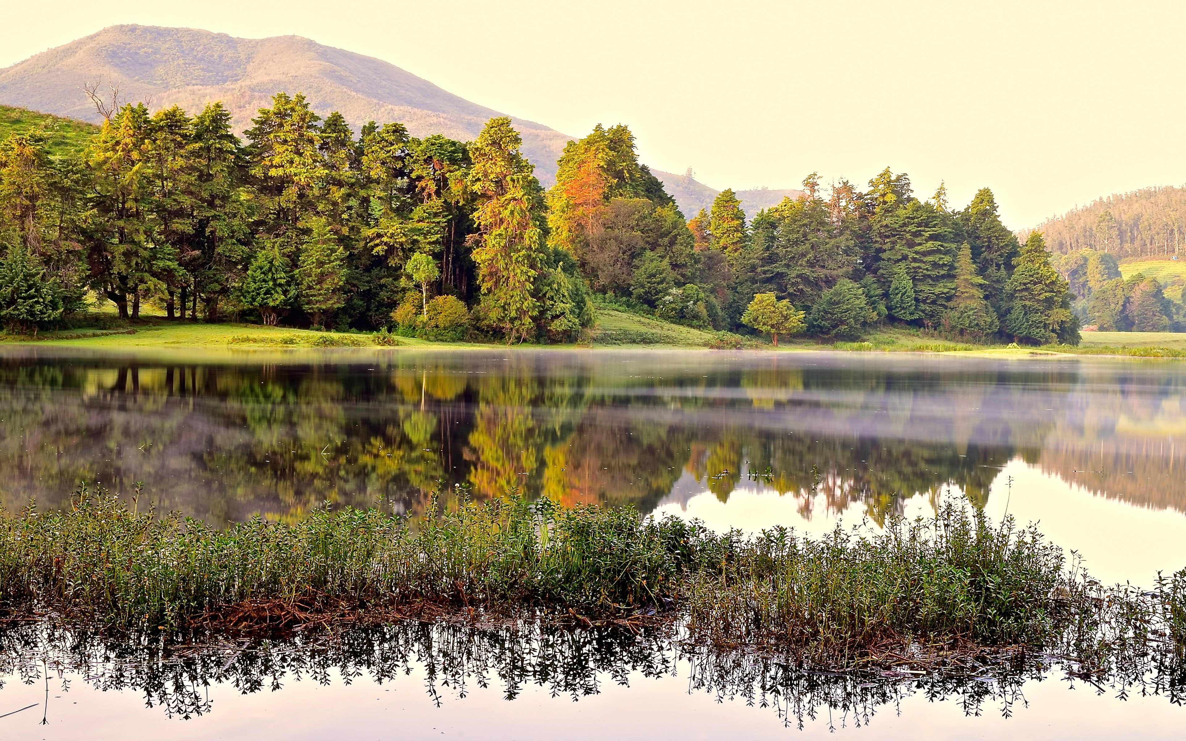 autumn, reflections, outdoors, waterfront, reflection lake, india, tranquility, tranquil scene, 4K, ooty, dawn, beauty in nature, scenics - nature, change, HD Wallpaper
