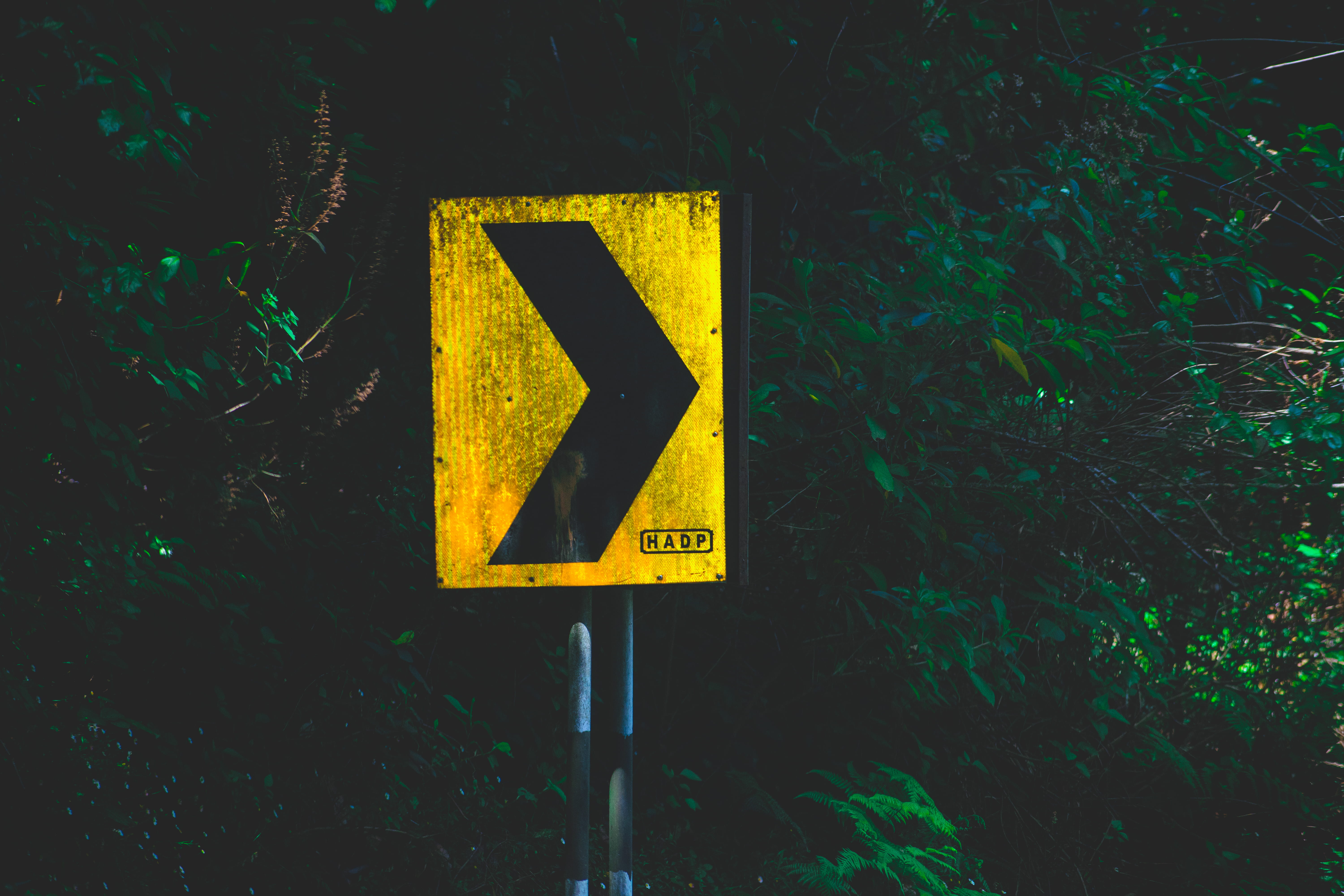 road sign, direction, ooty, sign, arrow symbol, warning symbol, 5K, plant, outdoors, safety, india, yellow, information, guidance, road, tree, travel, HD Wallpaper