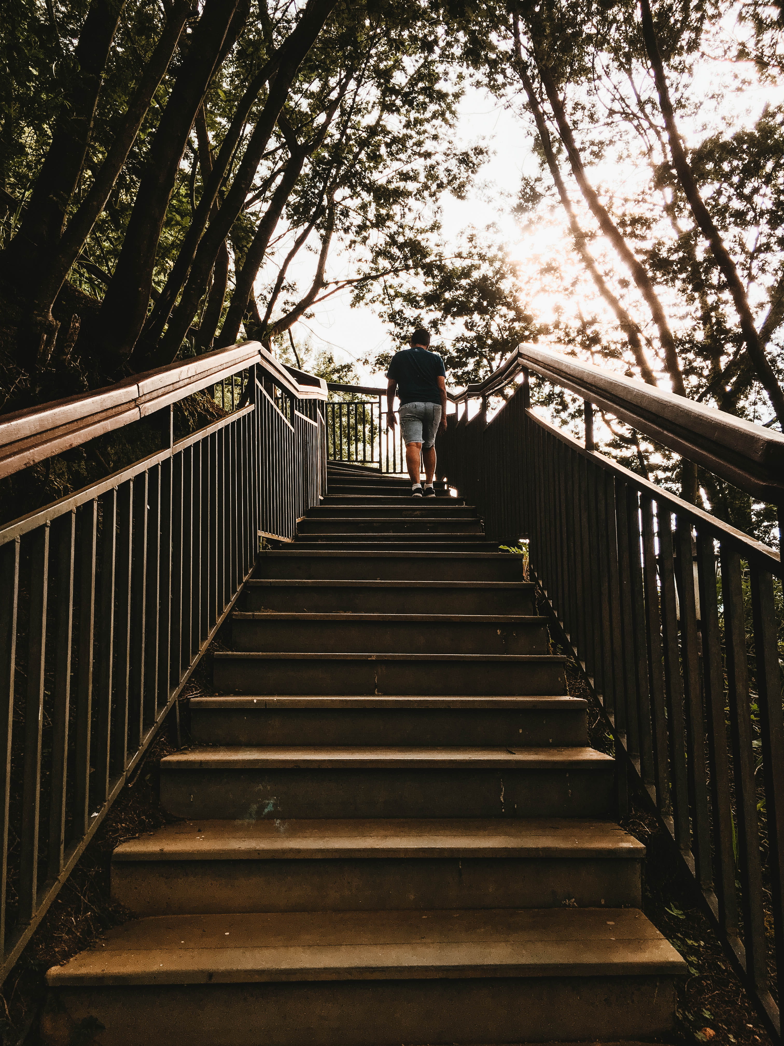 lifestyles, leisure activity, connection, plant, railing, outdoors, full length, men, india, direction, warm clothing, day, walkway, built structure, the way forward, Phone HD Wallpaper